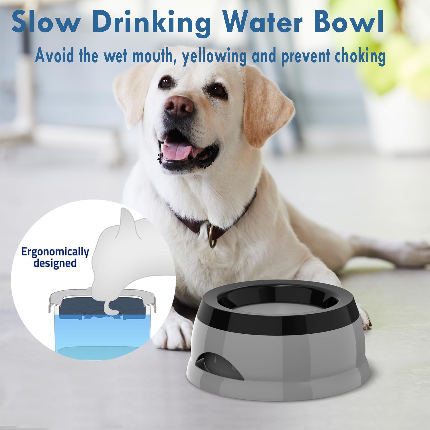 Takfox Dog Water Bowl, No Spill Cat Slow Feeder Water Dispenser Portable Vehicle Carried Car Travel Bowls For Small Medium Pets
