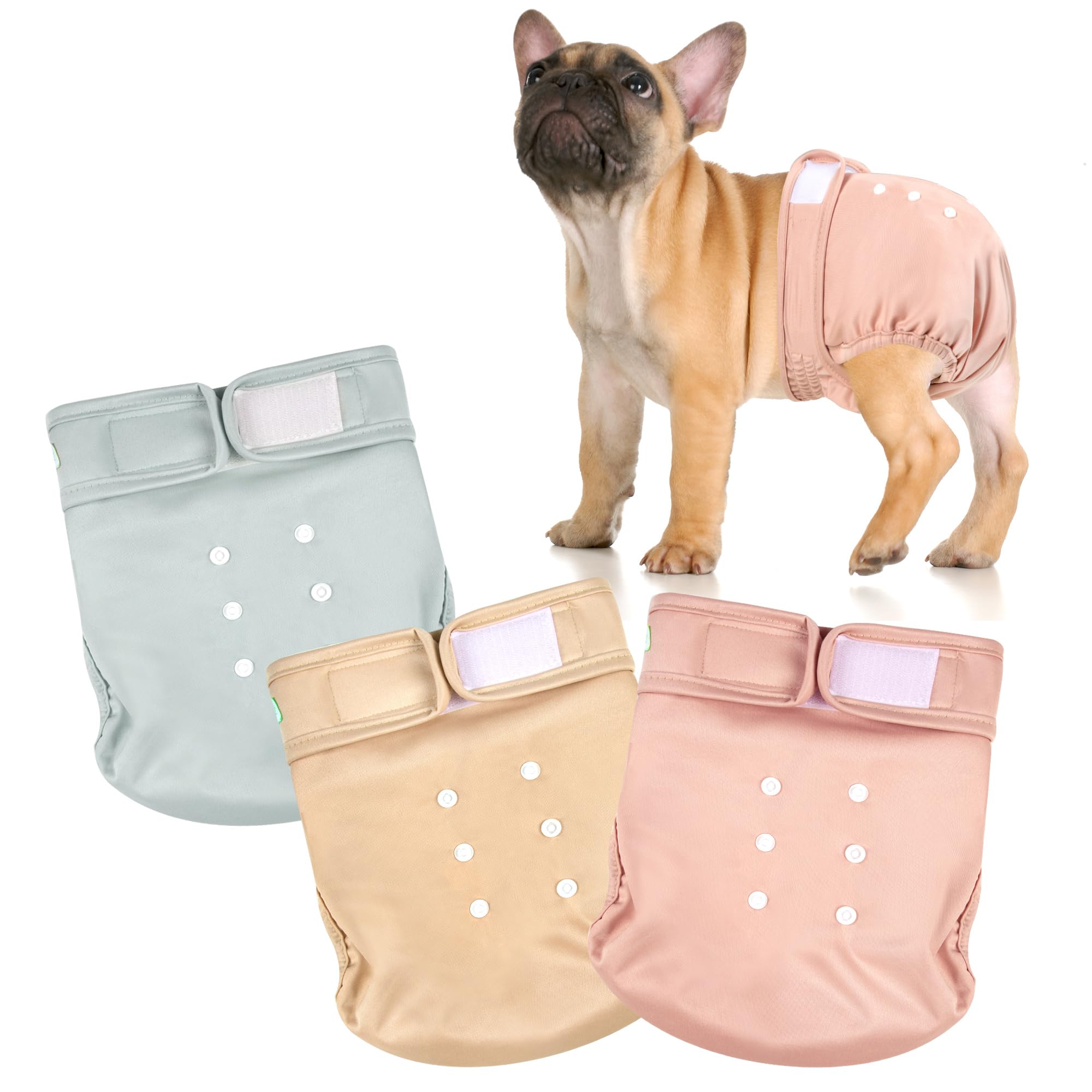 Wegreeco Frenchie Dog Diapers Female No Tail Hole,Washable Pet French Puppy Bulldog Diapers Female For Period Heat,Reusable Dogg