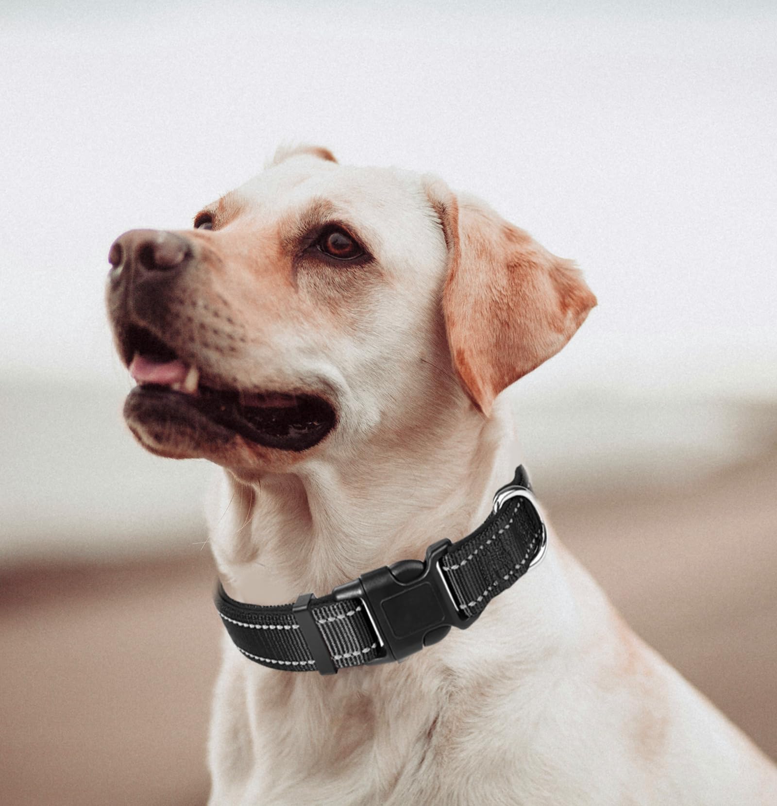 Small Dog Collar, Reflective Pet Collar With Buckle Adjustable Safety Nylon Collars For Small Medium Large Dogs, Black