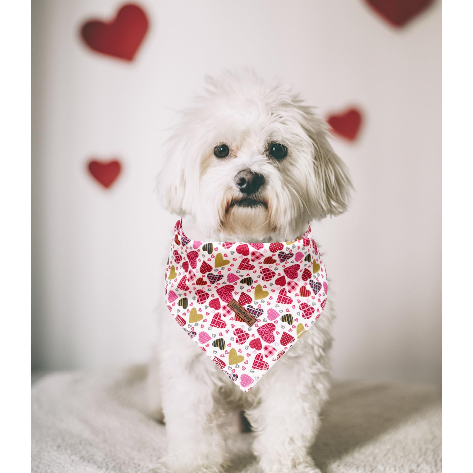 Lionheart Valentine Bandana 1 Pack Washable Soft Dog Scarf, Square Adjustable Dog & Cat Scarf