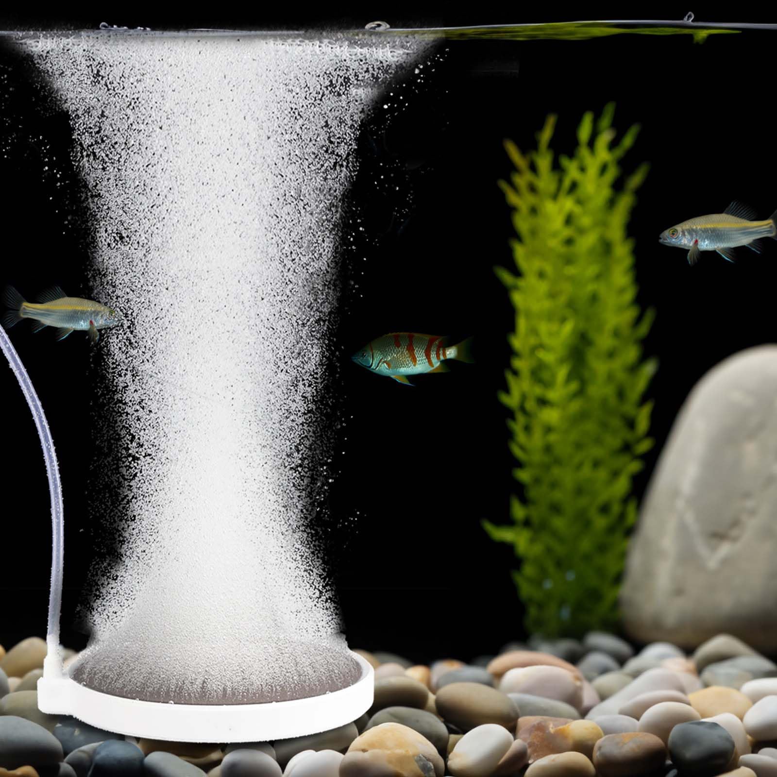 BLOTFISH Aquarium Bubbler Air Stone - 4 Inch Fish Tank Nano Quiet Dissolved Oxygen Diffuser Make Super Tiny Bubbles for 35-100 G