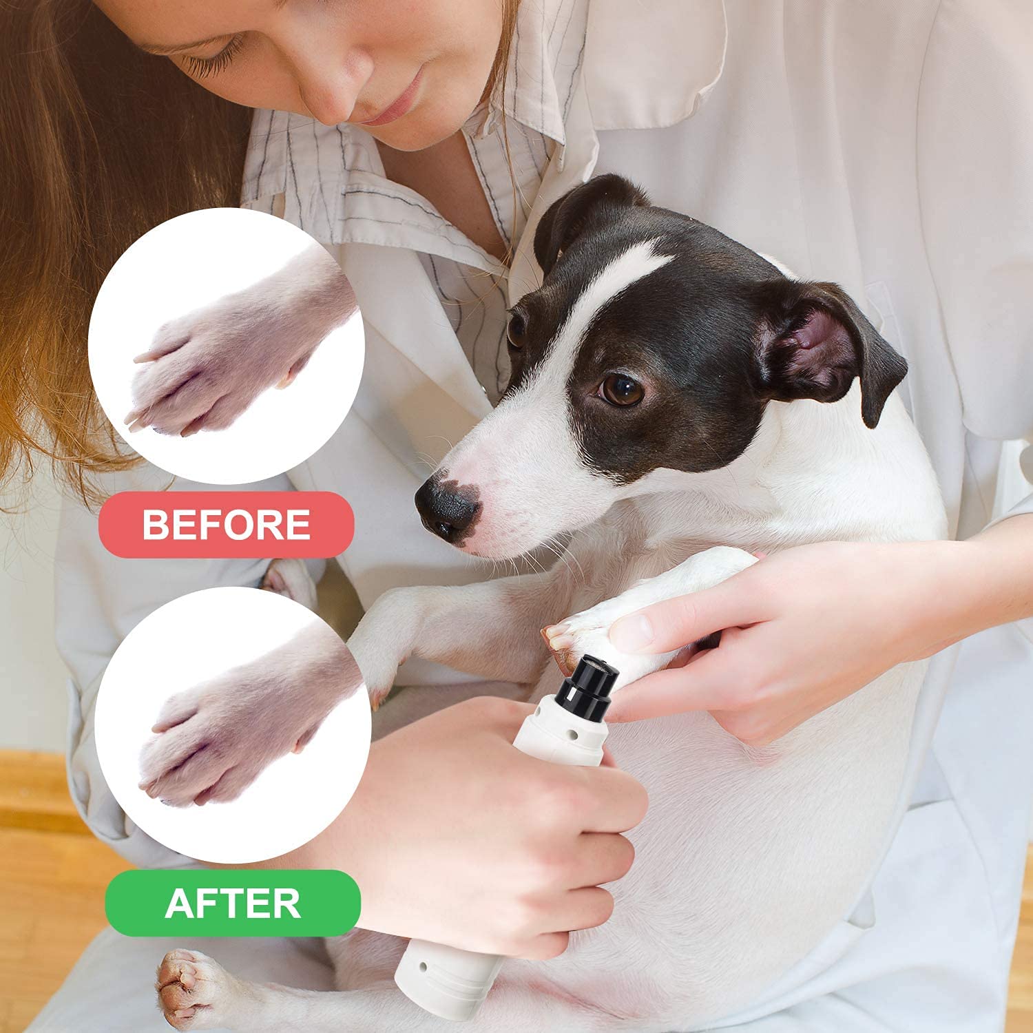 Casfuy Dog Nail Grinder With Led Light - Upgraded 2-Speed Electric Pet Nail Trimmer Powerful Painless Paws Grooming & Smoothing For Small Medium Large Dogs & Cats (White)