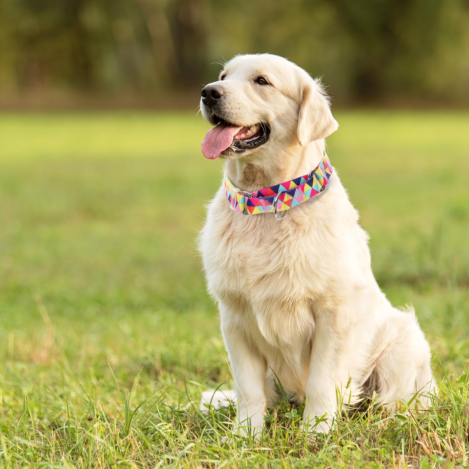 Martingale Collar For Dogs, Adjustable Training No Slip Dog Collar For Large Medium Small Dogs, Boy And Girl Dogs-Increase Contr