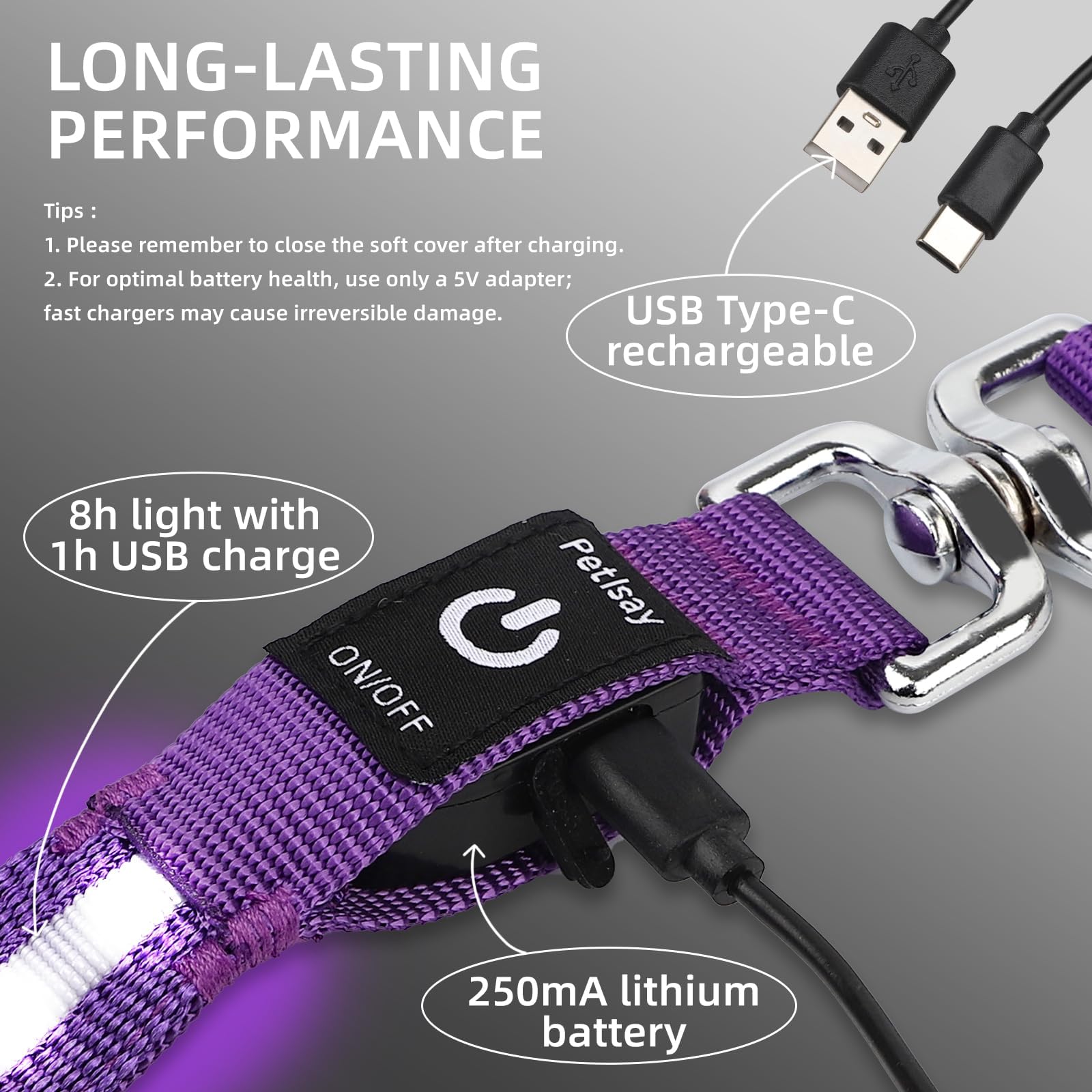 Petisay Light Up Dog Leash For Night Walking - Usb-C Rechargeable, Waterproof - 6Ft(White)