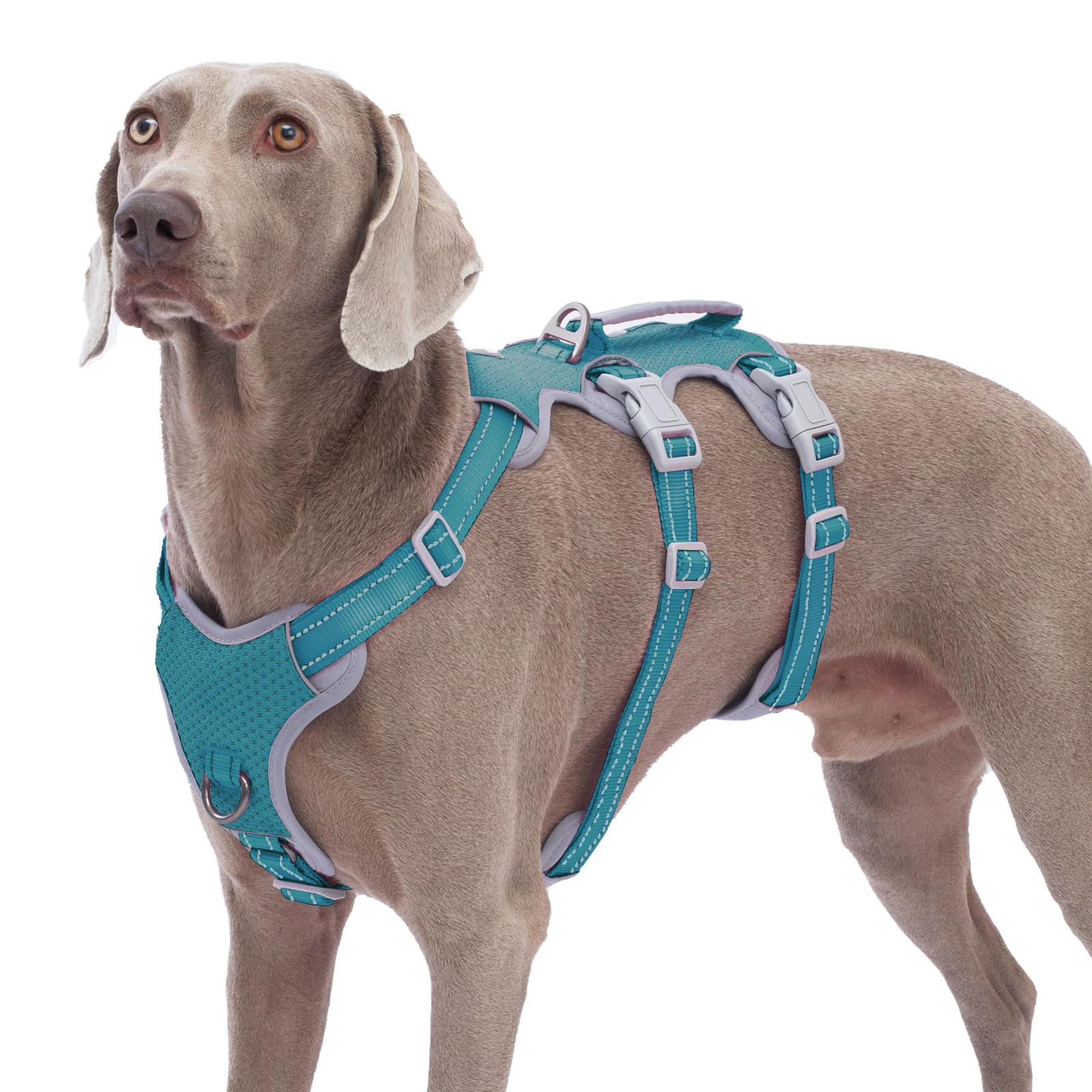 Huntboo Escape Proof Dog Harness, No Pull Reflective Harness With Lift Handle, Adjustable Pet Vest With Front And Back Leash Clips For Small Medium Large Dogs Walking Hiking Training (Teal,Xl)