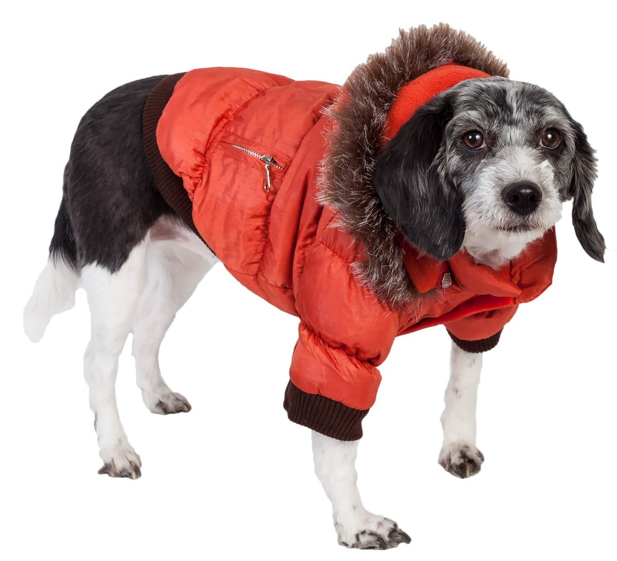 PET LIFE Classic Metallic Fashion Pet Dog Coat Jacket Parka w/ 3M Insulation and Removable Hood, Small, Metallic Orange