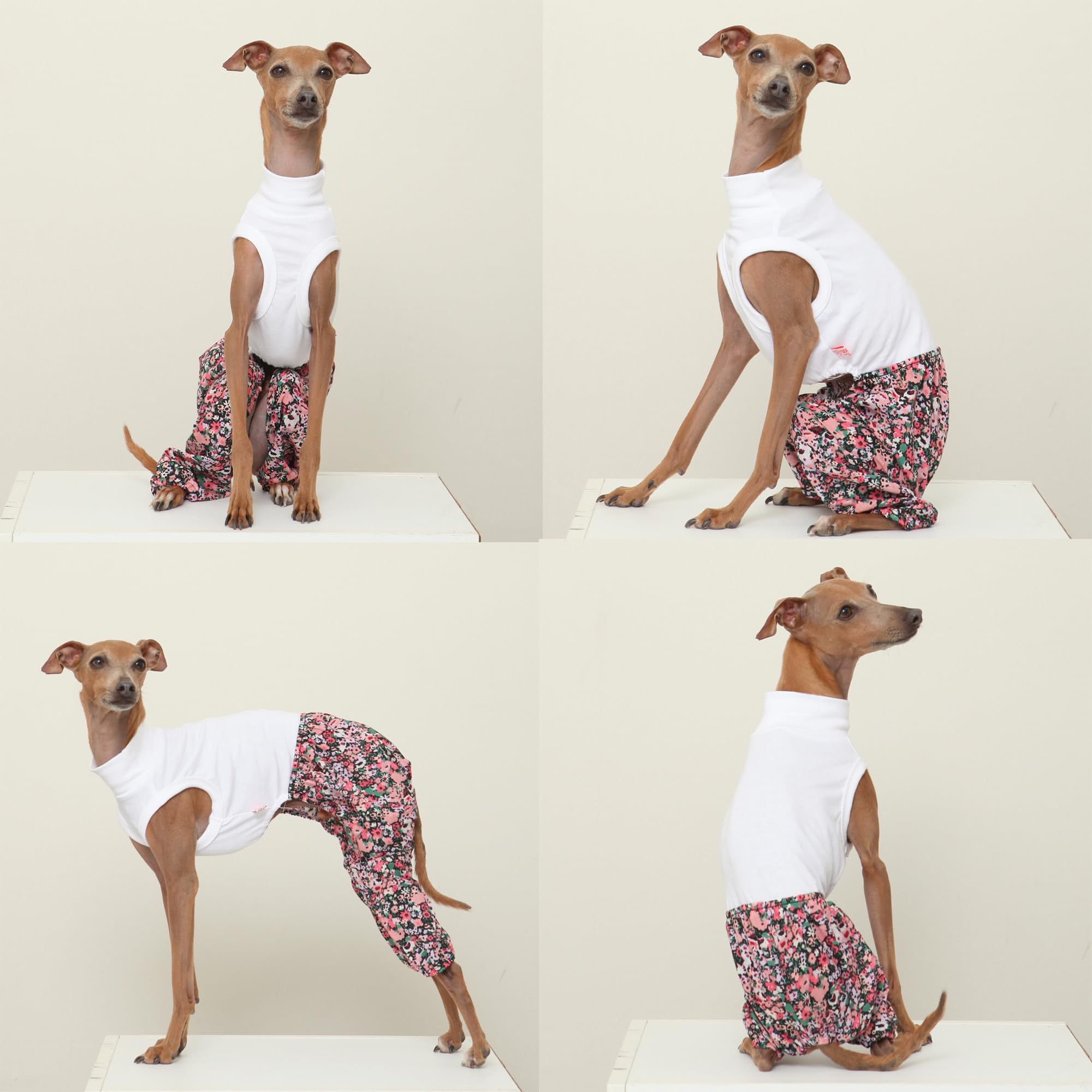D Doggy Star Italian Greyhound Clothes Mombbe Onesie Outfit Whippet For Dog Coat (S,Mombbe Black)