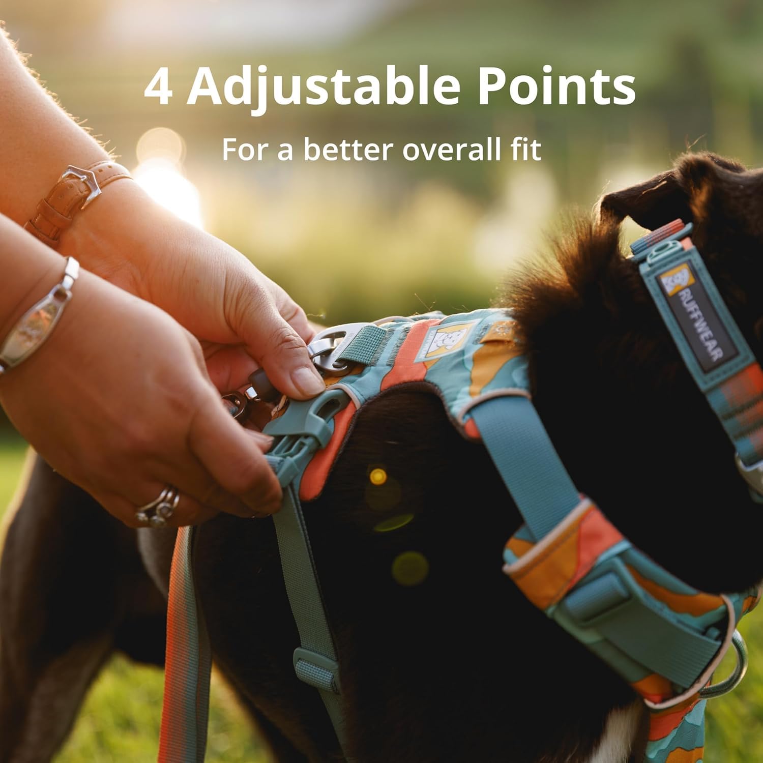 Ruffwear, Front Range Dog Harness, Reflective And Padded, No Pull Harness For Training And Everyday, Coastal Mountains, Medium