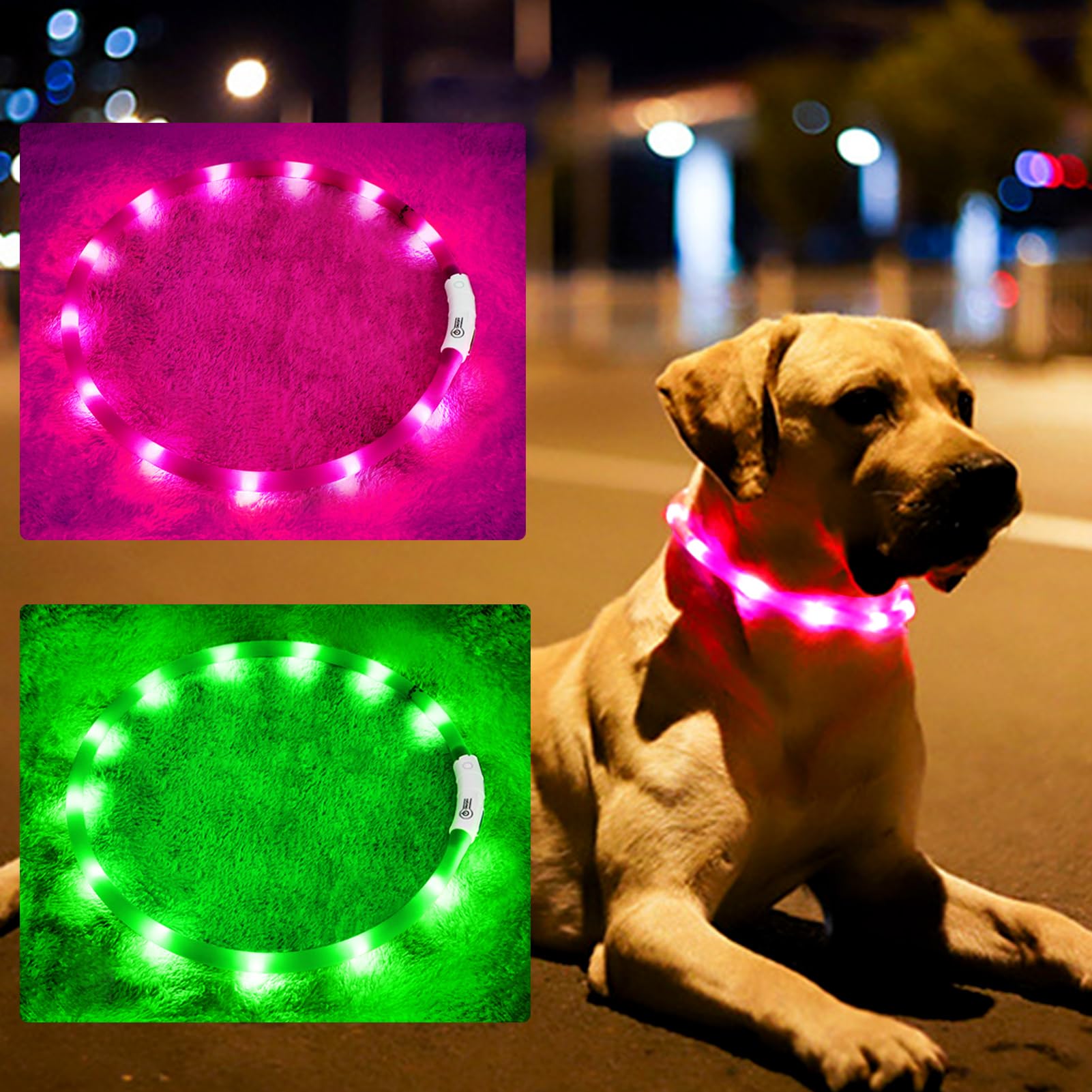 2 Pack LED Dog Collar, Rechargeable Light Up Dog Collars, Dog Collar for Night Walking, Improved Dog Safety & Visibility at Nigh