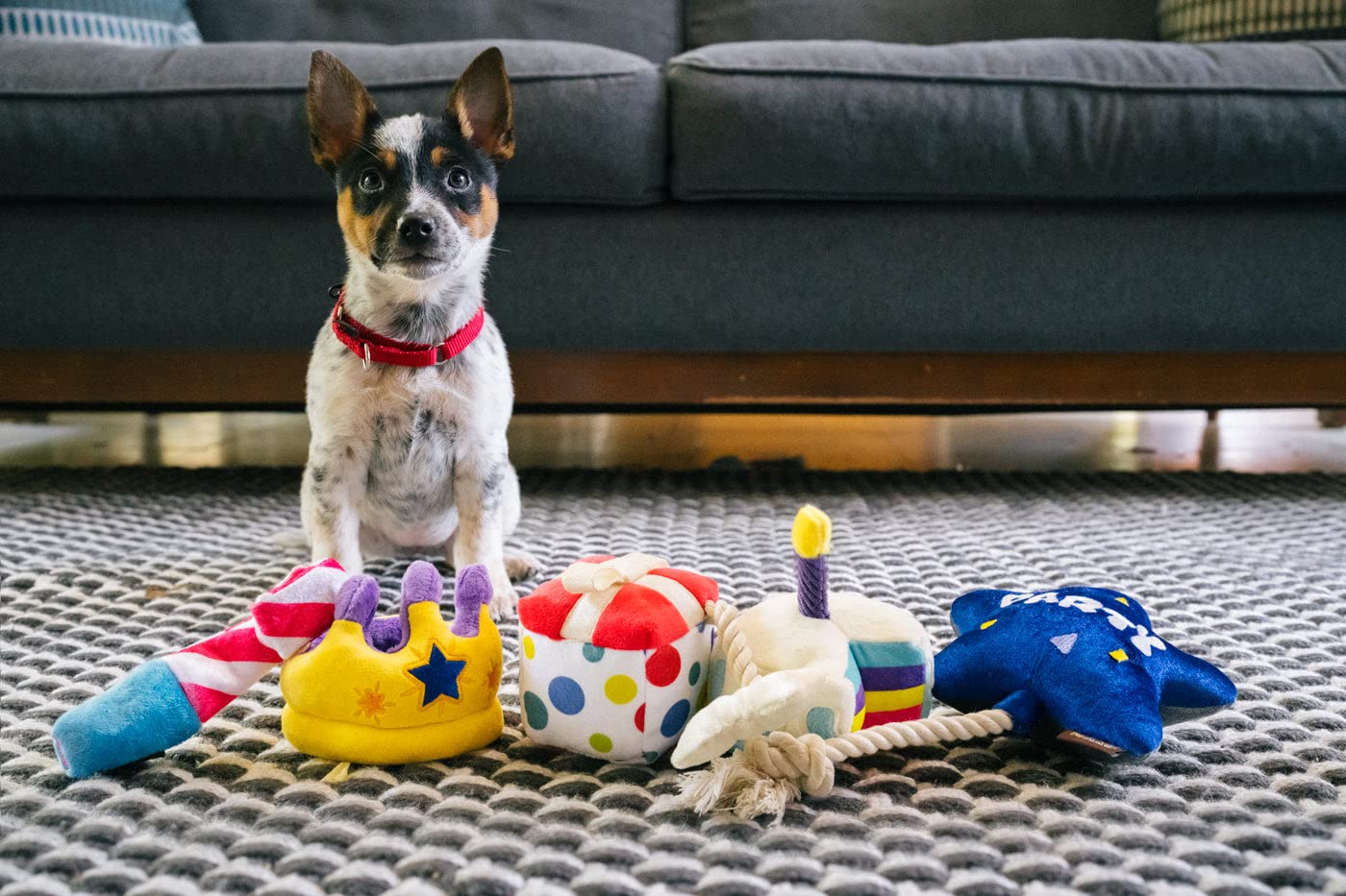 P.L.A.Y. Pet Lifestyle And You Play Party Time Plush Dog Toys - Party Themed Toys, Great For All Dogs
