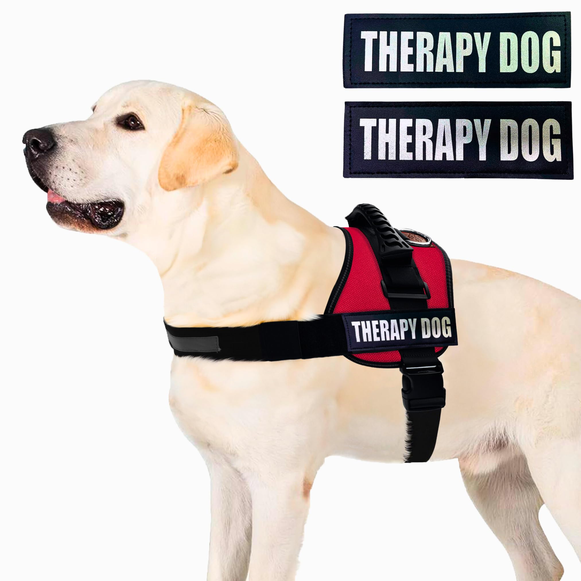 Albcorp Reflective Therapy Dog Vest Harness, Woven Polyester & Nylon, Adjustable Service Animal Jacket, With 2 Hook And Loop The