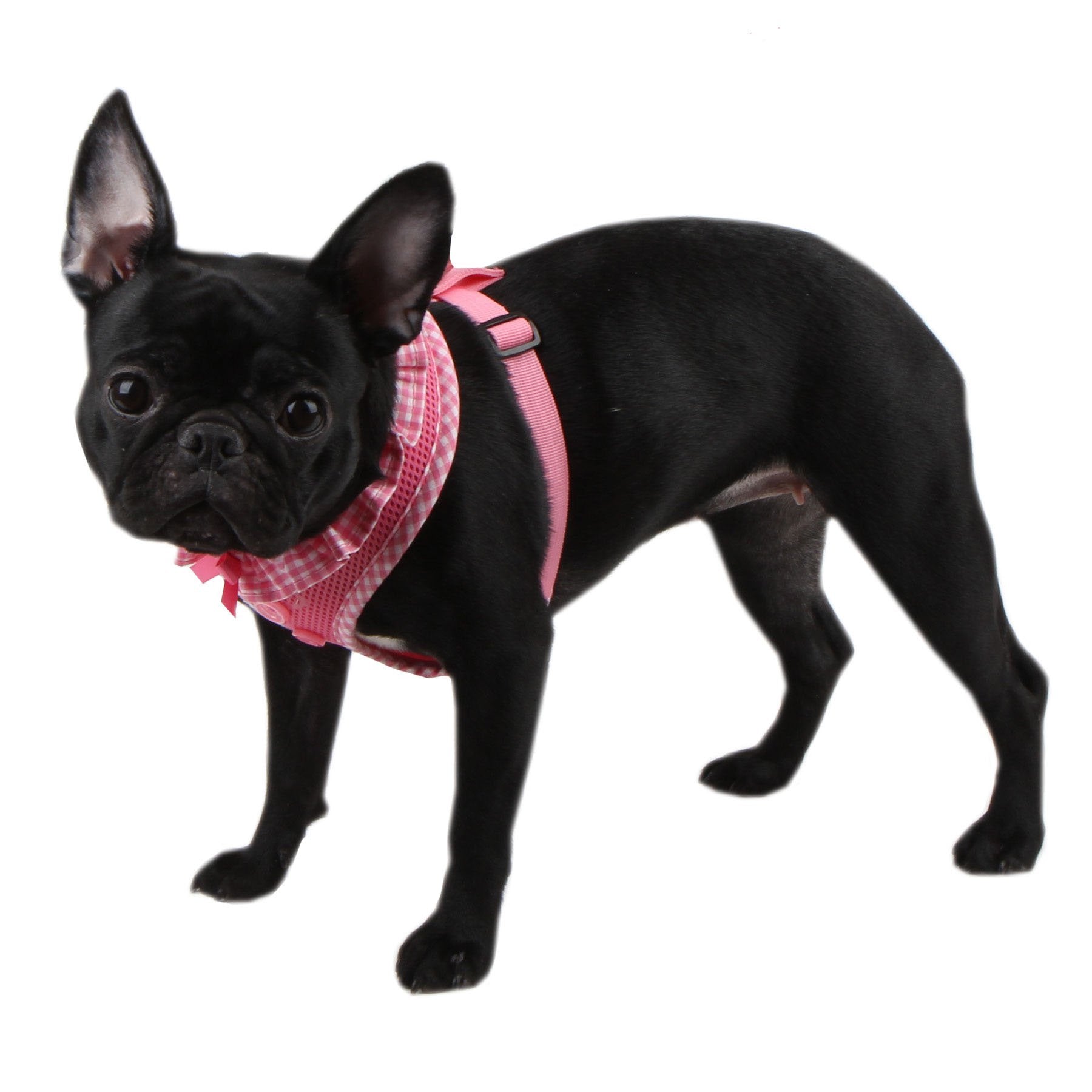 Authentic Puppia Vivien Harness, Pink, Small