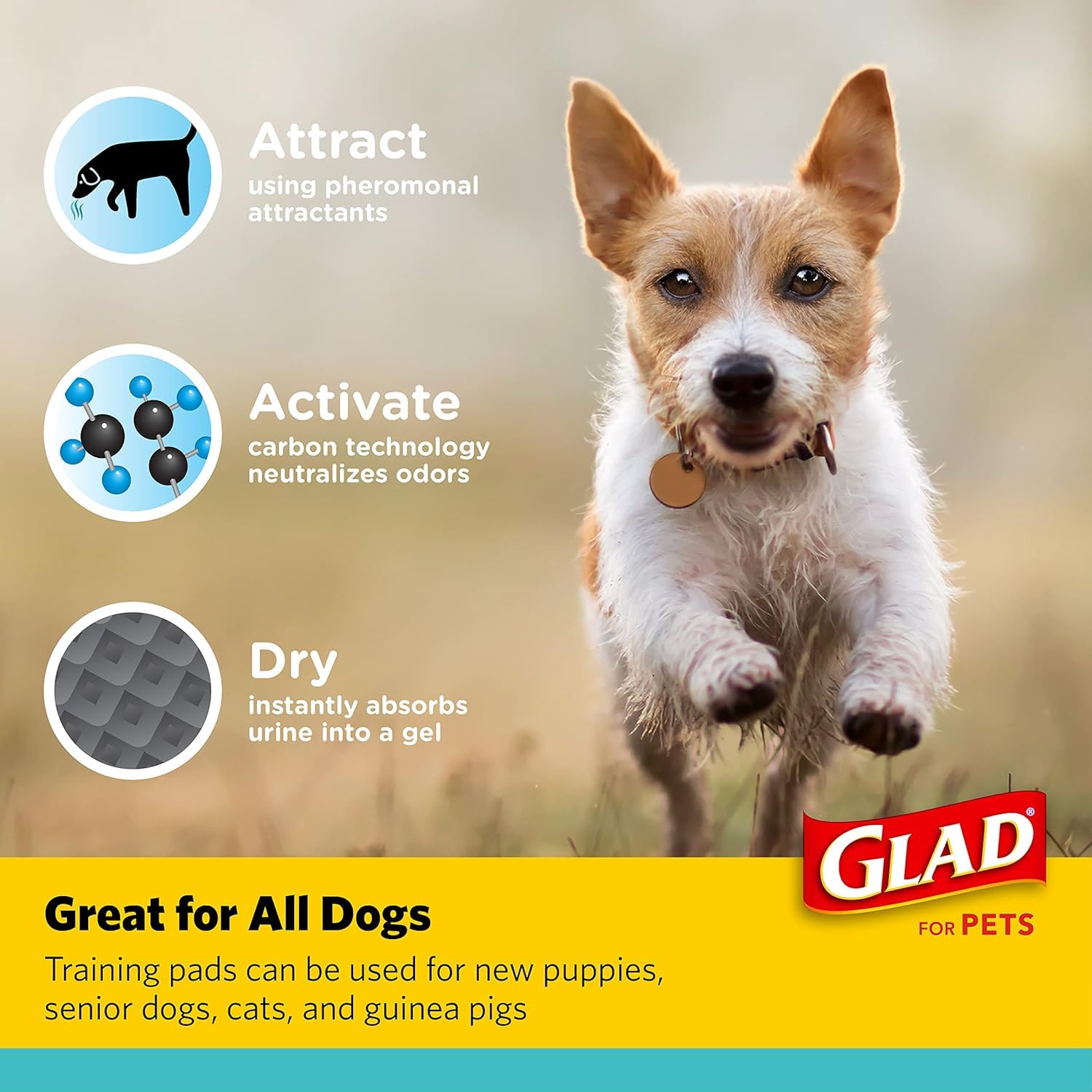 Glad for Pets Activated Charcoal Dog Training Pads, Small Size 17.5 x 23.5 Odor Absorbing, Pee Pads for Dogs Perfect for Trainin