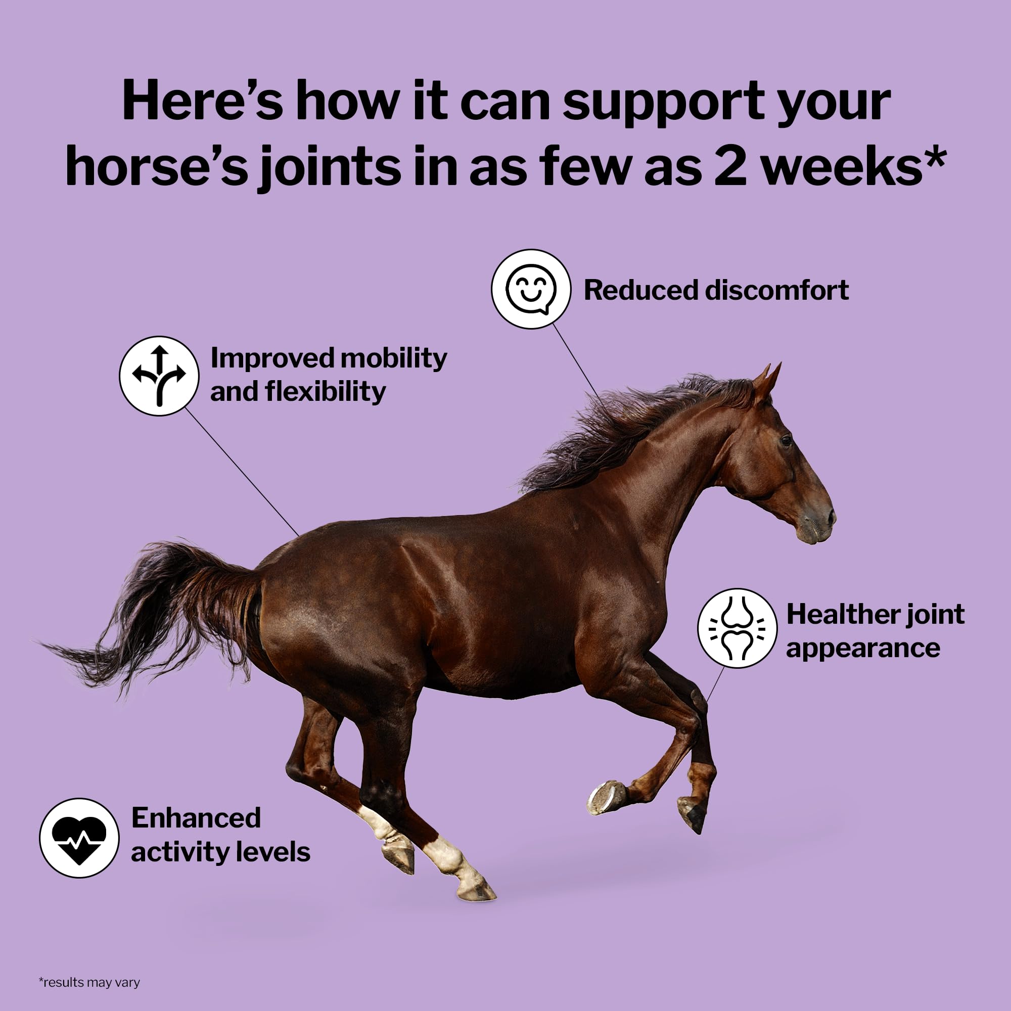 Formula 707 Joint 6in1 Equine Supplement 10 lb Bag - Support for Joint Integrity and Inflammatory Response in Horses - Green-Lip