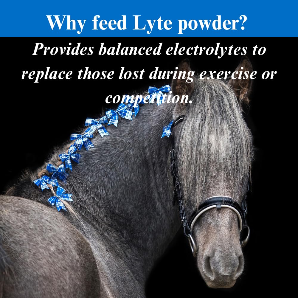 SU-PER Lyte Horse Electrolyte Supplement - Helps Maintain Normal Body Fluid Levels - Performance Horse Minerals & Electrolytes R