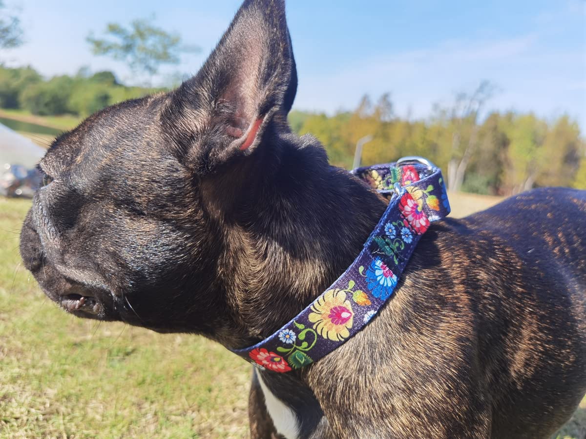 Pimaodog Heavy Duty Nylon Dog Collar, Adjustable Martingale Dog Collar For Walking Training Boy And Girl Dogs Medium Large Dogs (L:45-53Cm, Black)