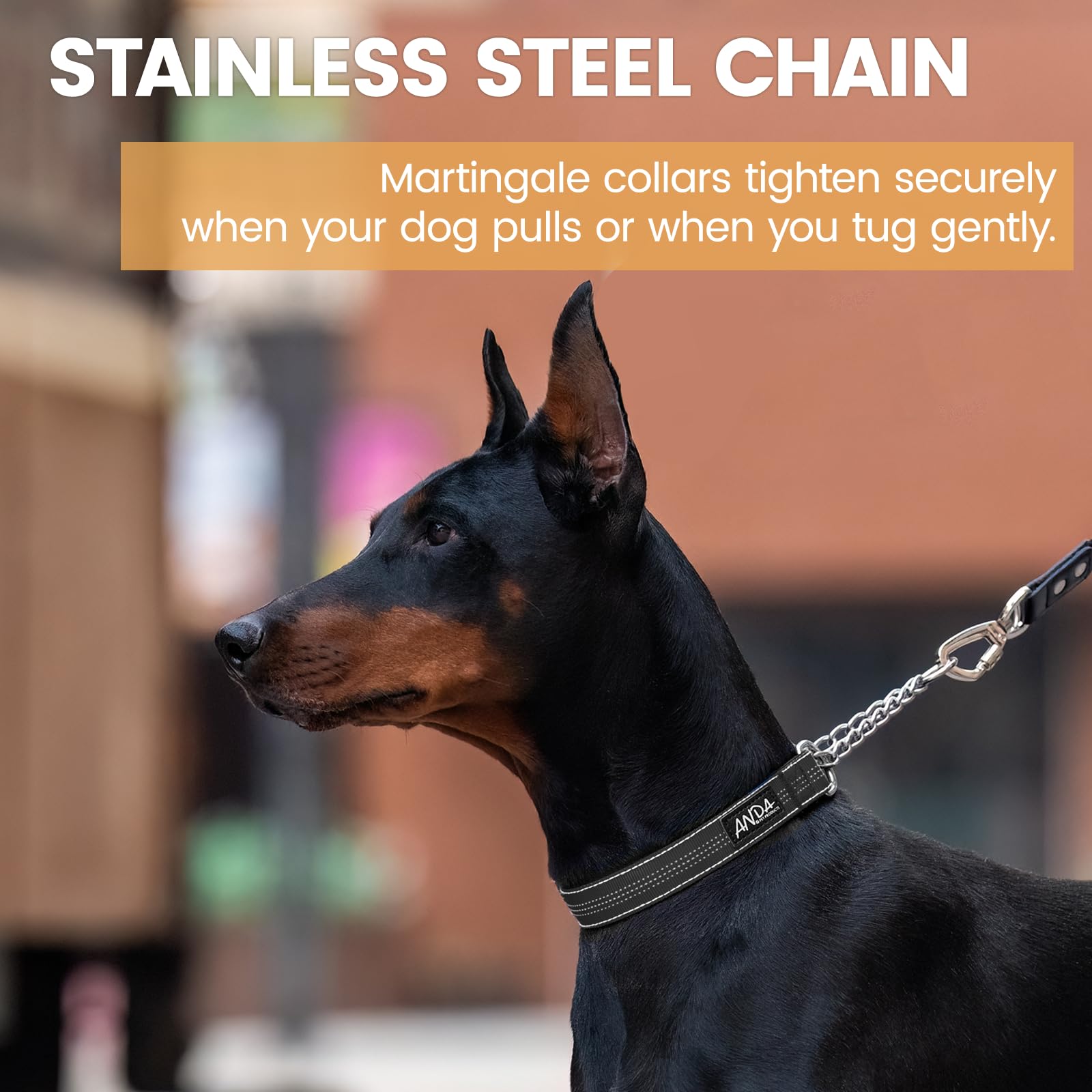 Anda Martingale Collar For Dogs, Adjustable With Reflective Stainless Steel Chain, No-Pull Escape-Proof Training Collar For Medi