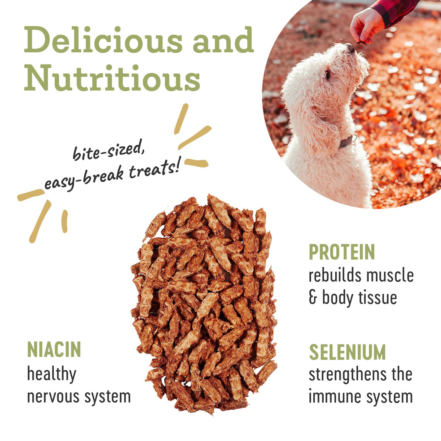 Farm Hounds - Chicken Trainers - Premium Natural Jerky for Dogs - 100% Humanely Raised Chicken - Easy-Break - Great for Training