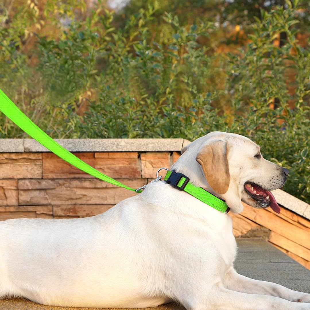 Penseepet Dog Leash 6 Ft Padded Handle Nylon Reflective Dogs Leashes For Large Dogs Green