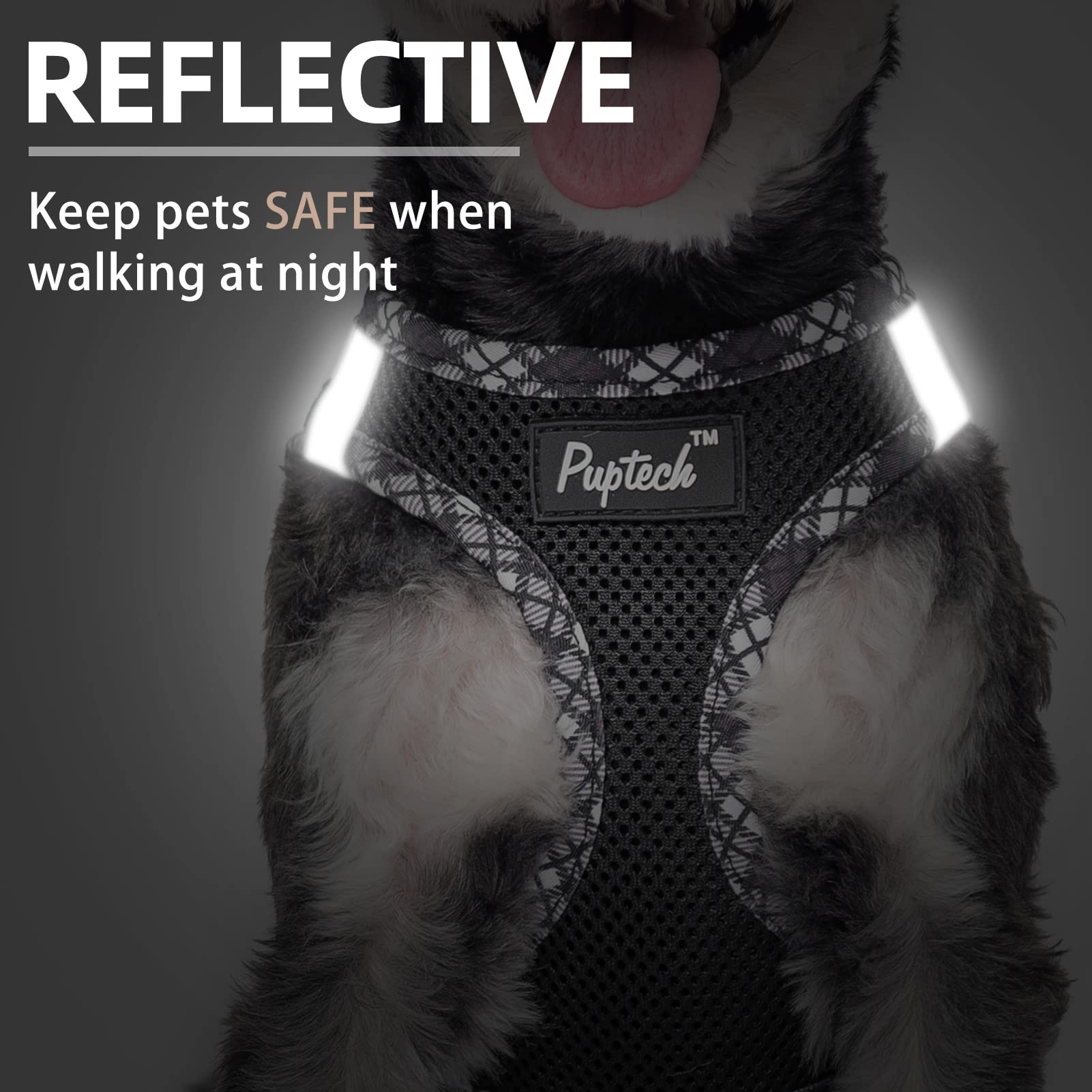 Pupteck Dog Harness And Leash Set For Small Medium Dogs No Pull Step-In Soft Mesh Puppy Cat Vest Harnesses Reflective At Night, Black L