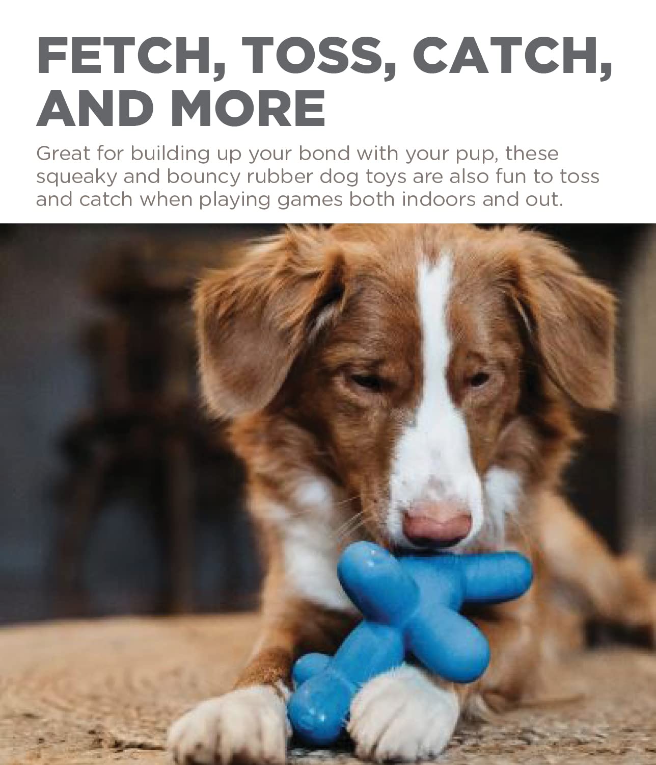 Outward Hound Latex Rubber Balloon Squeaky Dog Toy, Large, Blue, Natural Rubber, Model 79930L