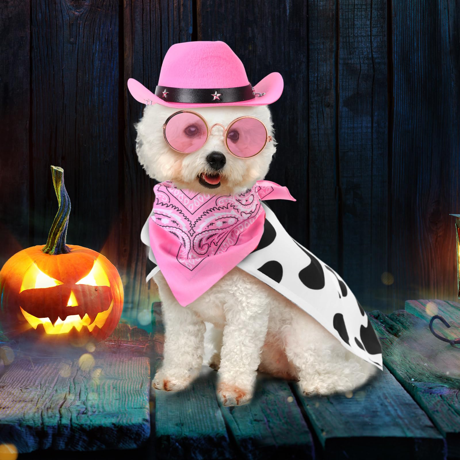 Huhumy 4 Pcs Dog Cowboy Costume Set Includes Pet Cowboy Hat, Triangle Bandana, Puppy Cape and Hiphop Glasses for Halloween Dog C