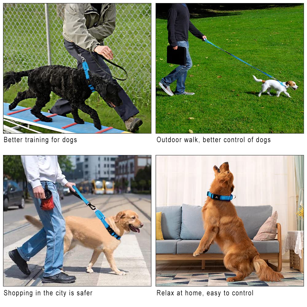 Plutus Pet Reflective Martingale Collar With Quick Snap Buckle,No Pull Dog Choker Collar For Small Medium Large Dogs,L,Blue