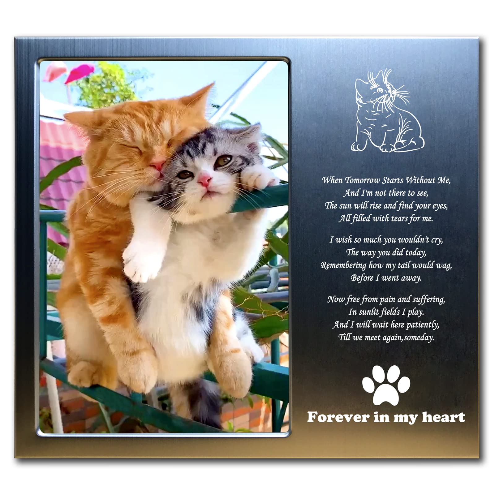 Joeziton Rainbow Bridge Cat Memorial Gifts For Loss Of Cat, Loss Of Cat Sympathy Gift, Cat Memorial Picture Frame, 4 X 6 Inches, Aluminum Alloy