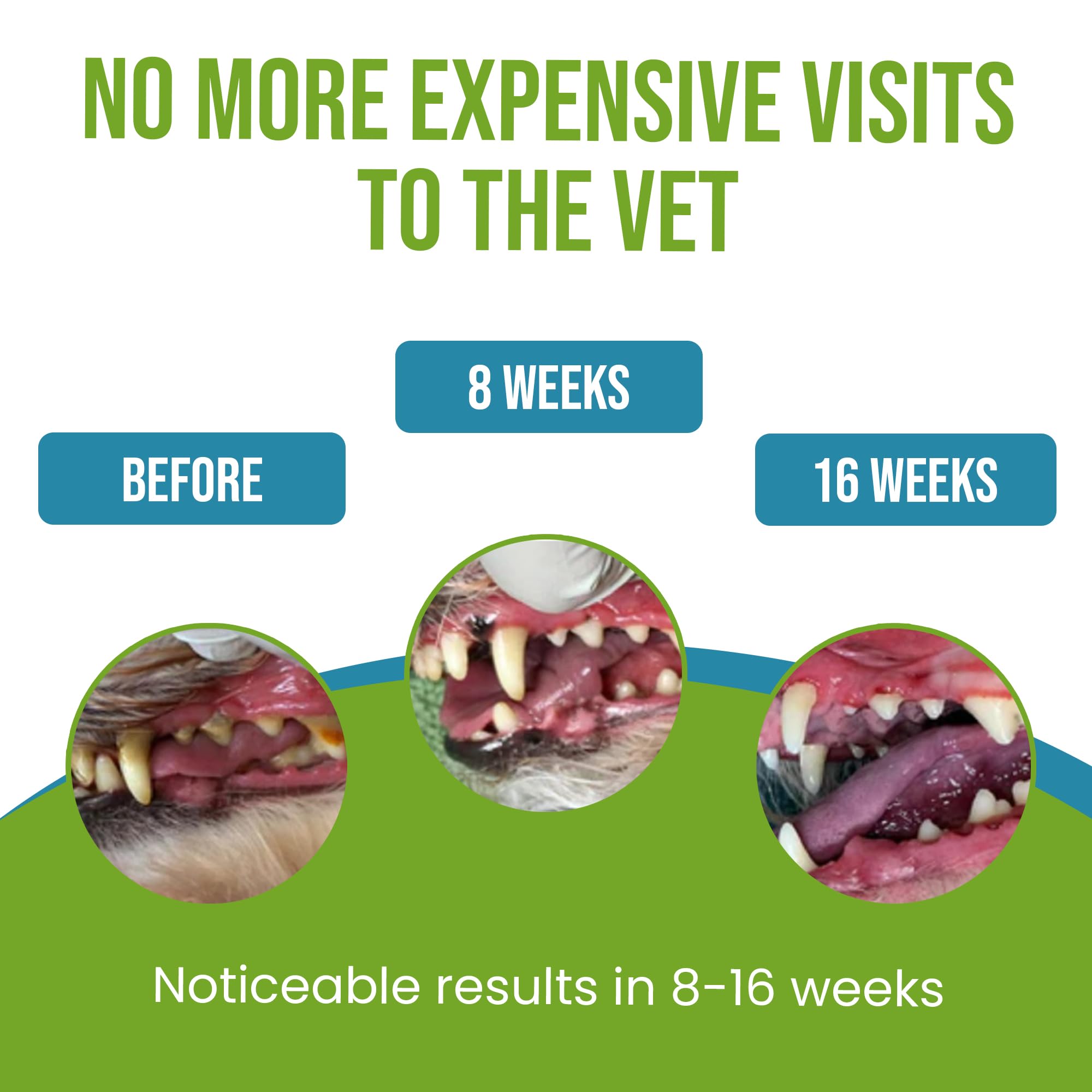 Caniclean Seaweed for Dogs Teeth - Dog Tartar Removal Tool, Plaque Remover, and Breath Freshener - Get Plaque Off Dogs Teeth Nat