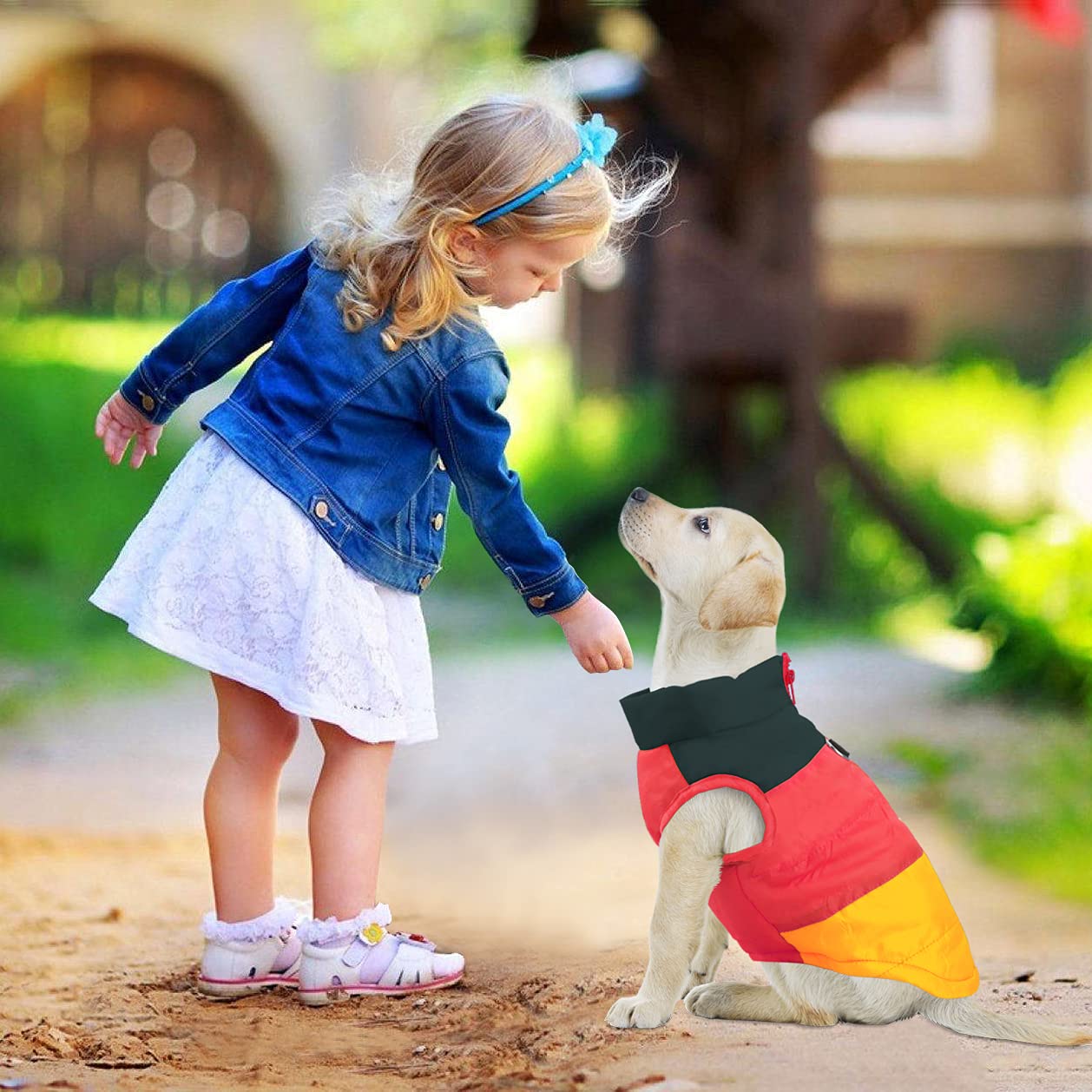 Idepet Pet Dog Cat Coat With Leash Anchor Color Patchwork Padded Puppy Vest Jacket Teddy Chihuahua Costumes Pug Cloth Xs S M L (Medium (Pack Of 1), Yellow)