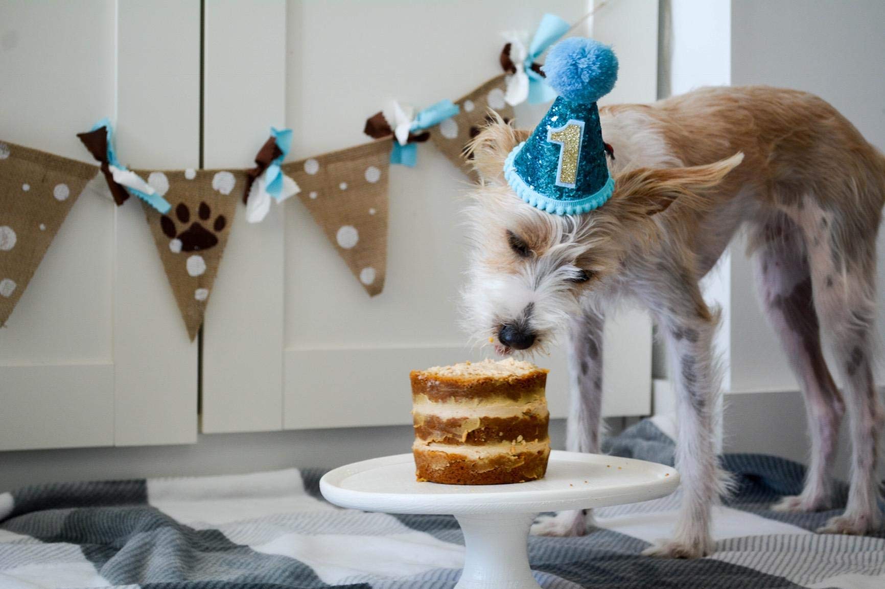 Pet Show 1Pc/Pack Blue Small Dog Birthday Party Hat For Boys Pets 1-Year-Old Cat Kitten Headband Grooming Accessories Costumes