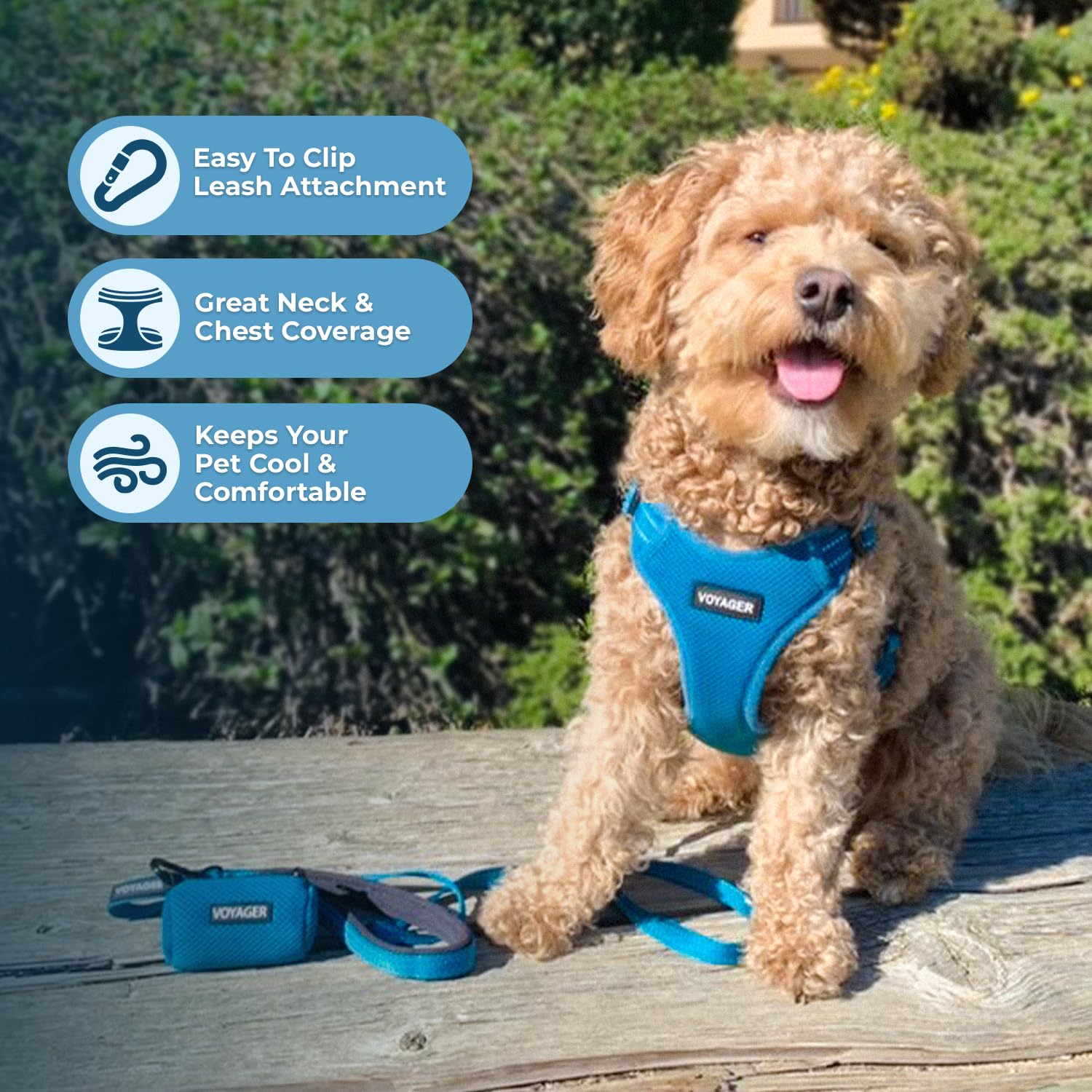 Best Pet Supplies Voyager Adjustable Dog Harness With Reflective Stripes For Walking, Jogging, Heavy-Duty Full Body No Pull Vest With Leash D-Ring, Breathable All-Weather - Harness (Turquoise), S