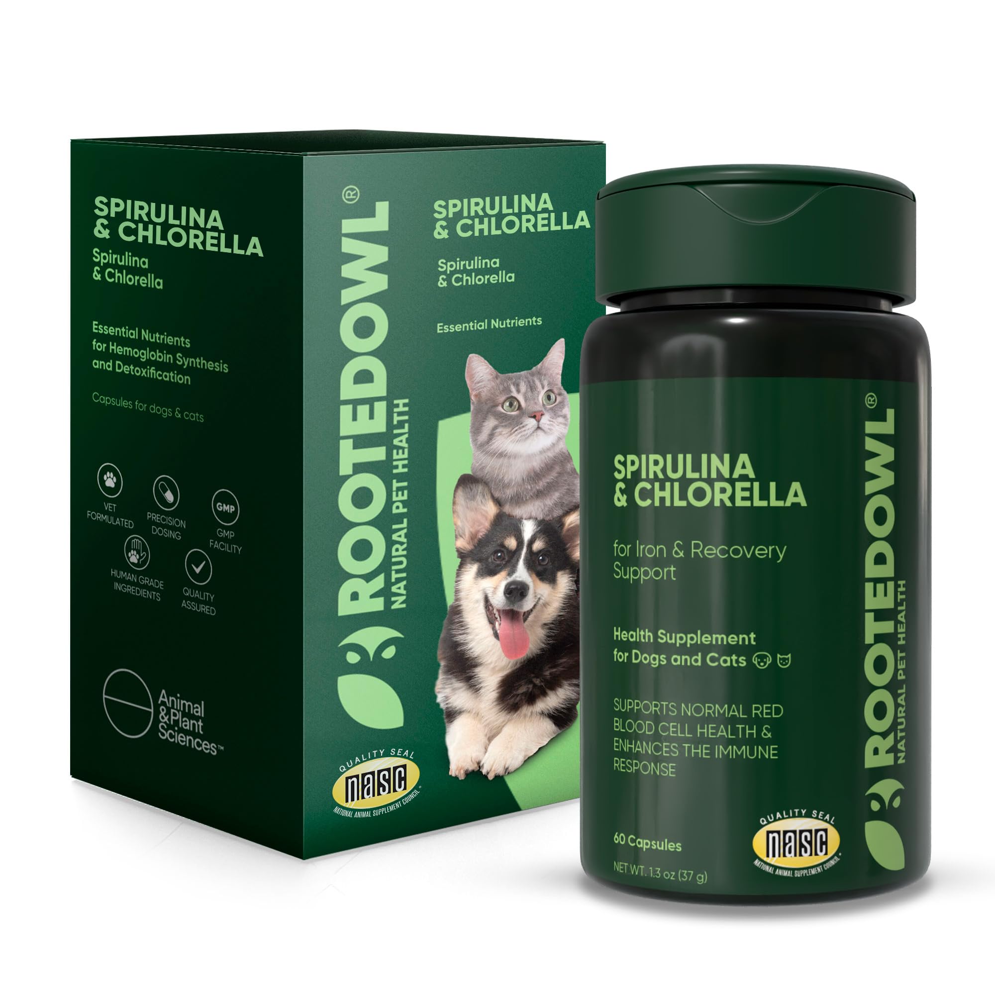 Rooted Owl Blood Support - Immunity, Recovery and Iron Supplement for Dogs & Cats - Anemia Support with Spirulina and Chlorella 