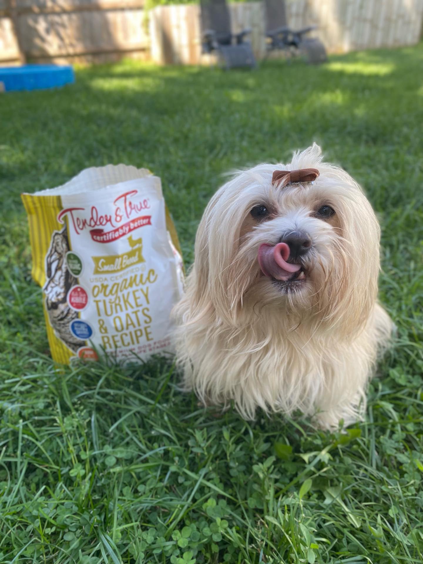 Tender & True Small Breed Organic Turkey & Oats