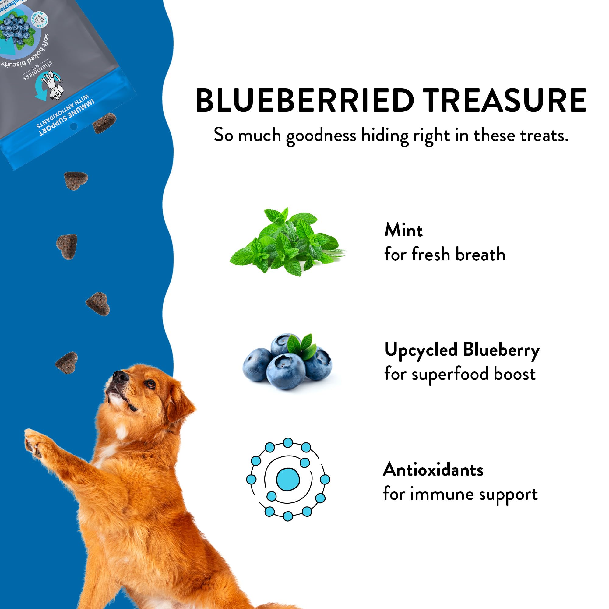 Shameless Pets Soft-Baked Dog Treats, Blueberried Treasure - Natural & Healthy Dog Chews with Mint for Immune Support - Made in