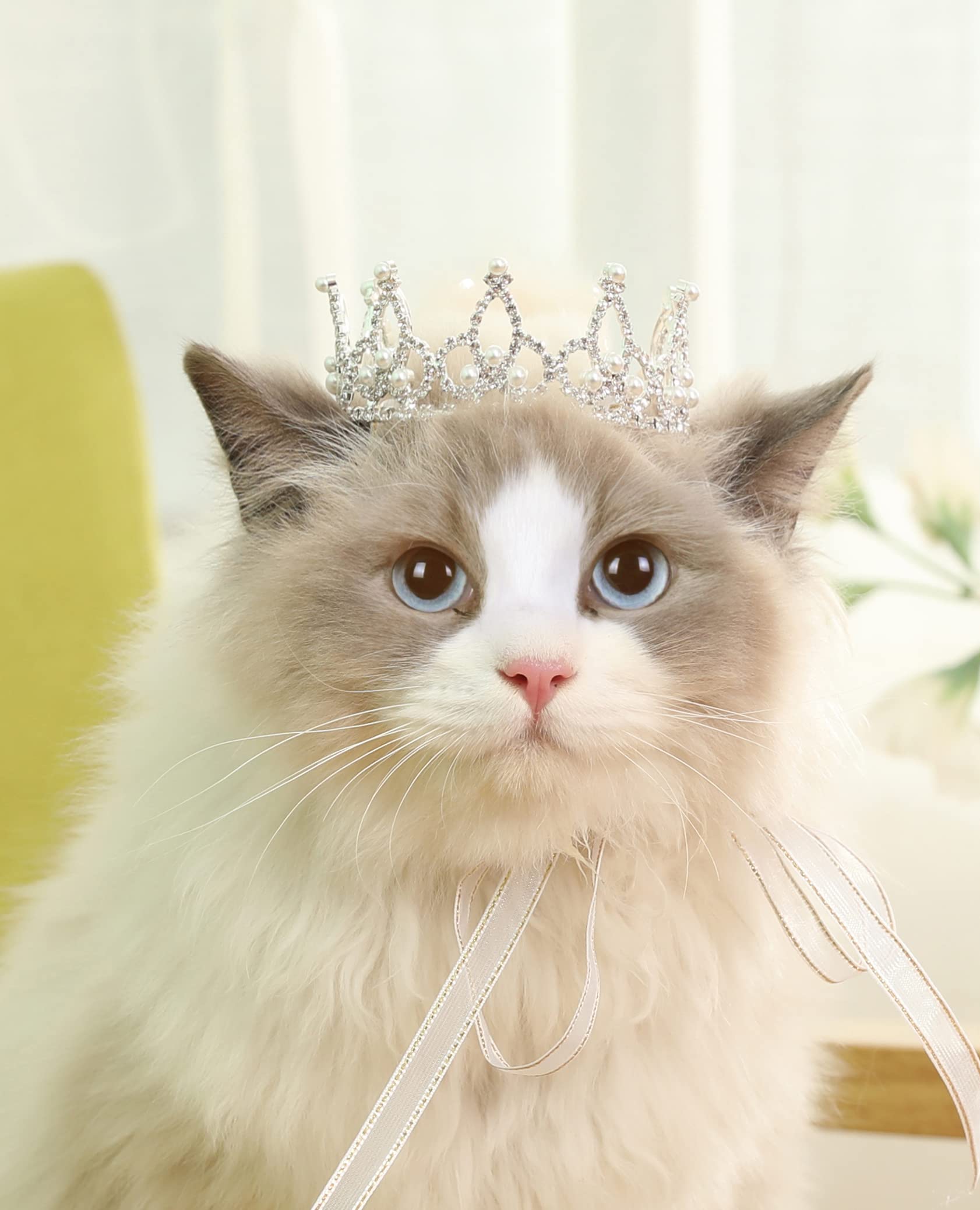Lovelyshop Pet Series Silver Plated Royal Rhinestone Pearl Full Round Dog/Cat Crown For Rolyal Family Costume Hair Accessories-S