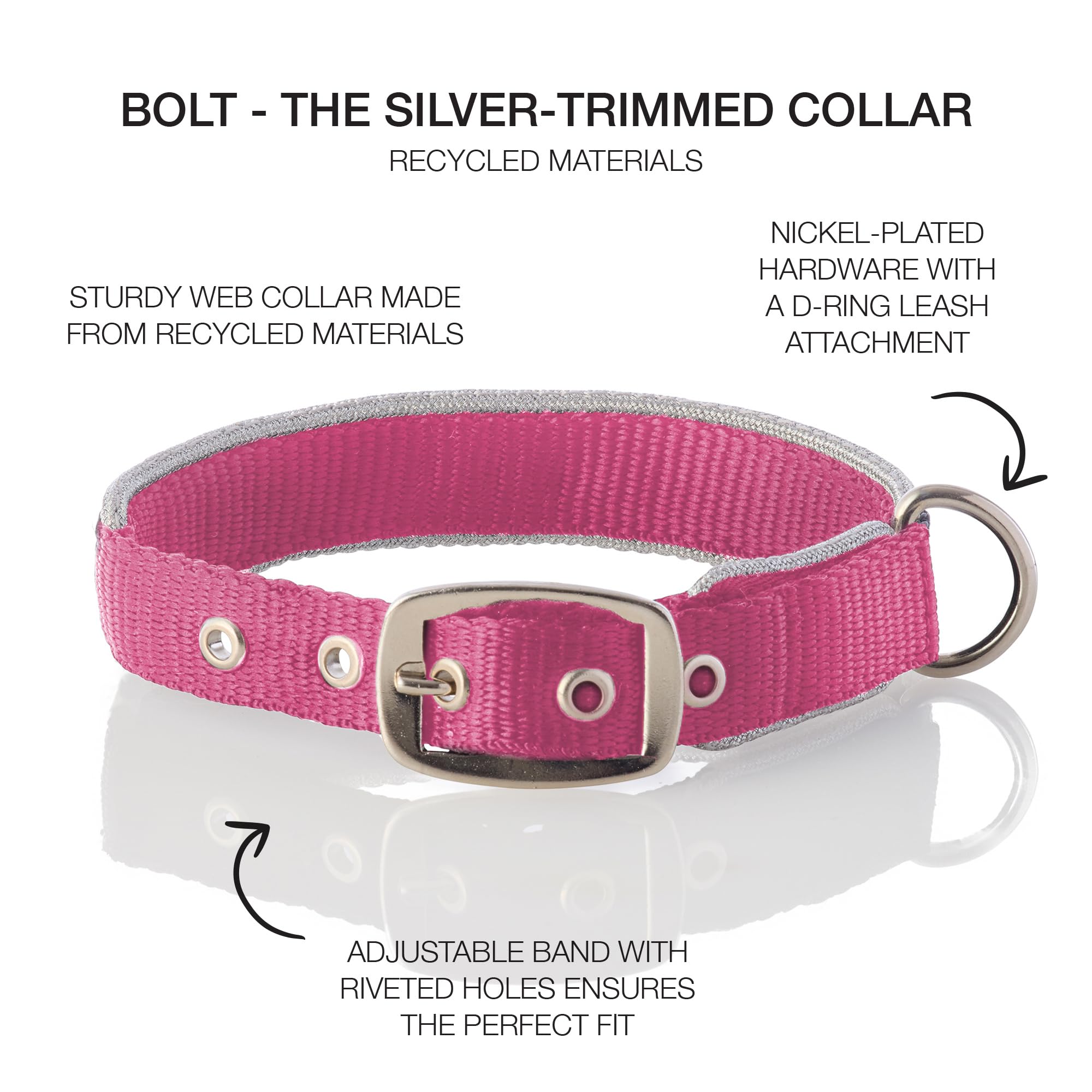 Pet Passion Adjustable Silver Trimmed Dog Collar For Pets Small, Medium And Large Dogs, Silver/Hot Pink, X-Large