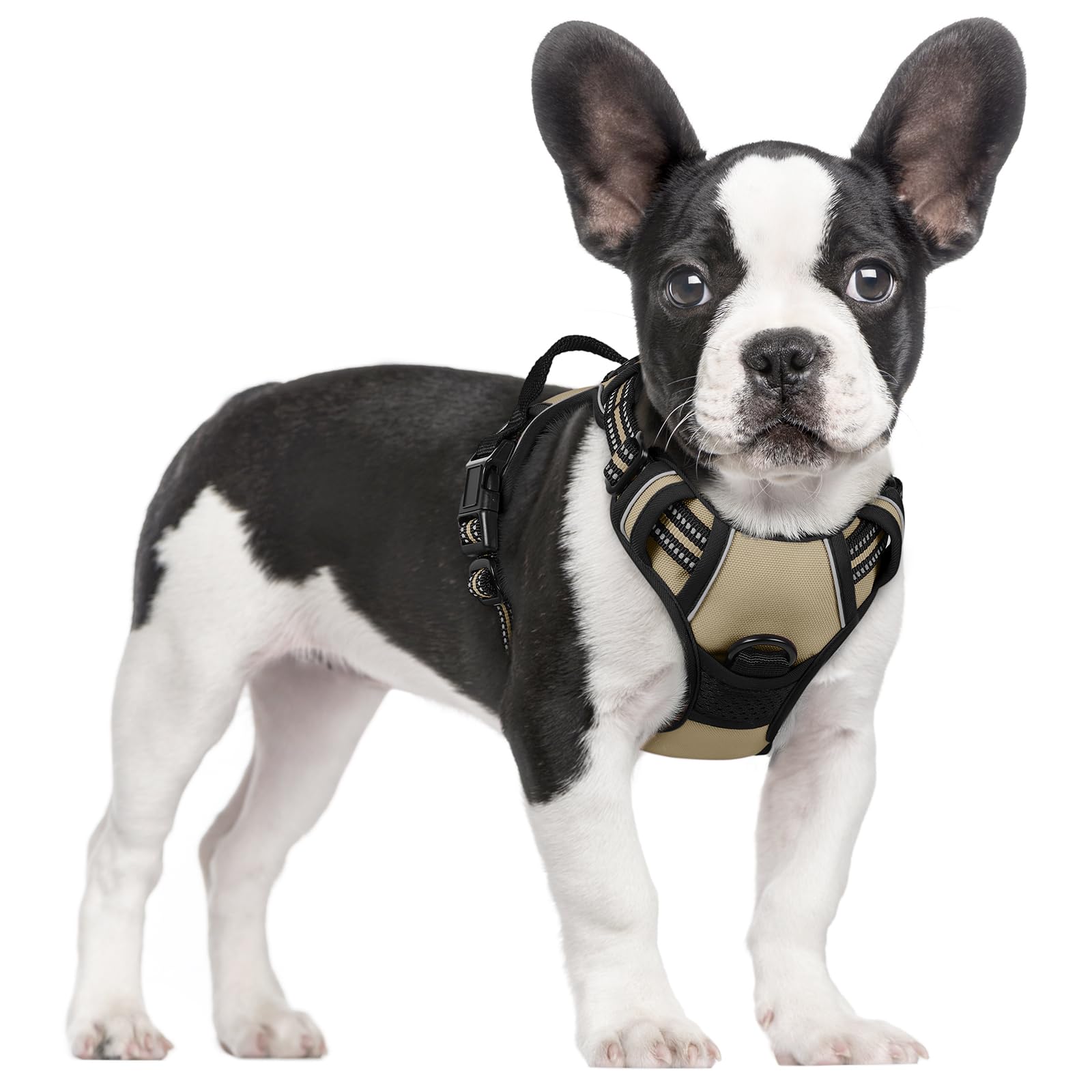 Rabbitgoo Dog Harness, No-Pull Pet Harness With 2 Leash Clips, Adjustable Soft Padded Dog Vest, Reflective No-Choke Pet Oxford Vest With Easy Control Handle For Small Dogs, Beige, S