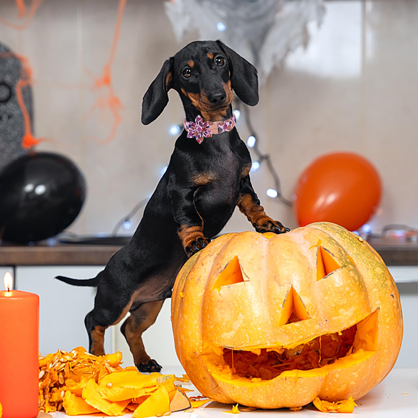 Aring Pet Halloween Dog Collar-Cute Pink Pumpkin Dog Collar With Flower, Adjustable Cotton Halloween Pumpkin Lamp Dog Collar Flower With Metal Buckle