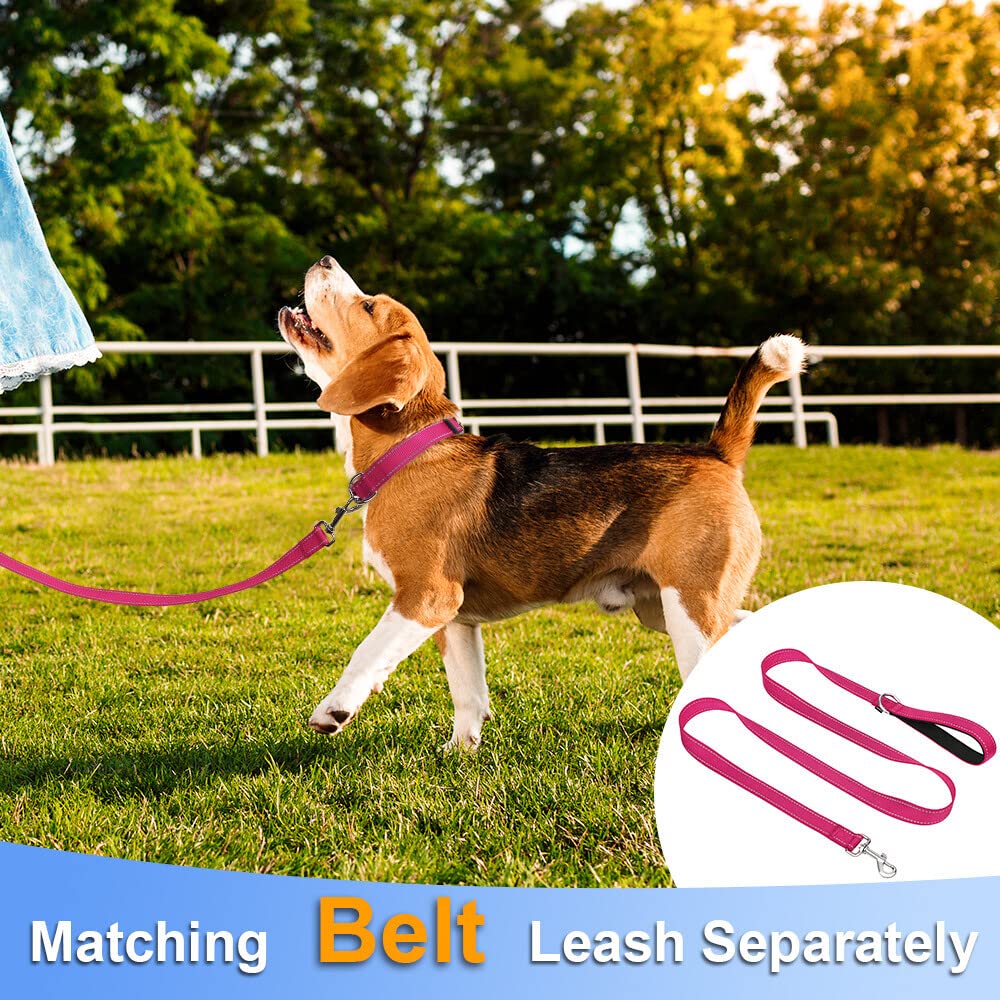 Taglory Reflective Adjustable Dog Collars For Puppy Small Medium Large Dogs, Thin Nylon Webbing And Quick Release Plastic Buckle(Hot Pink Medium)
