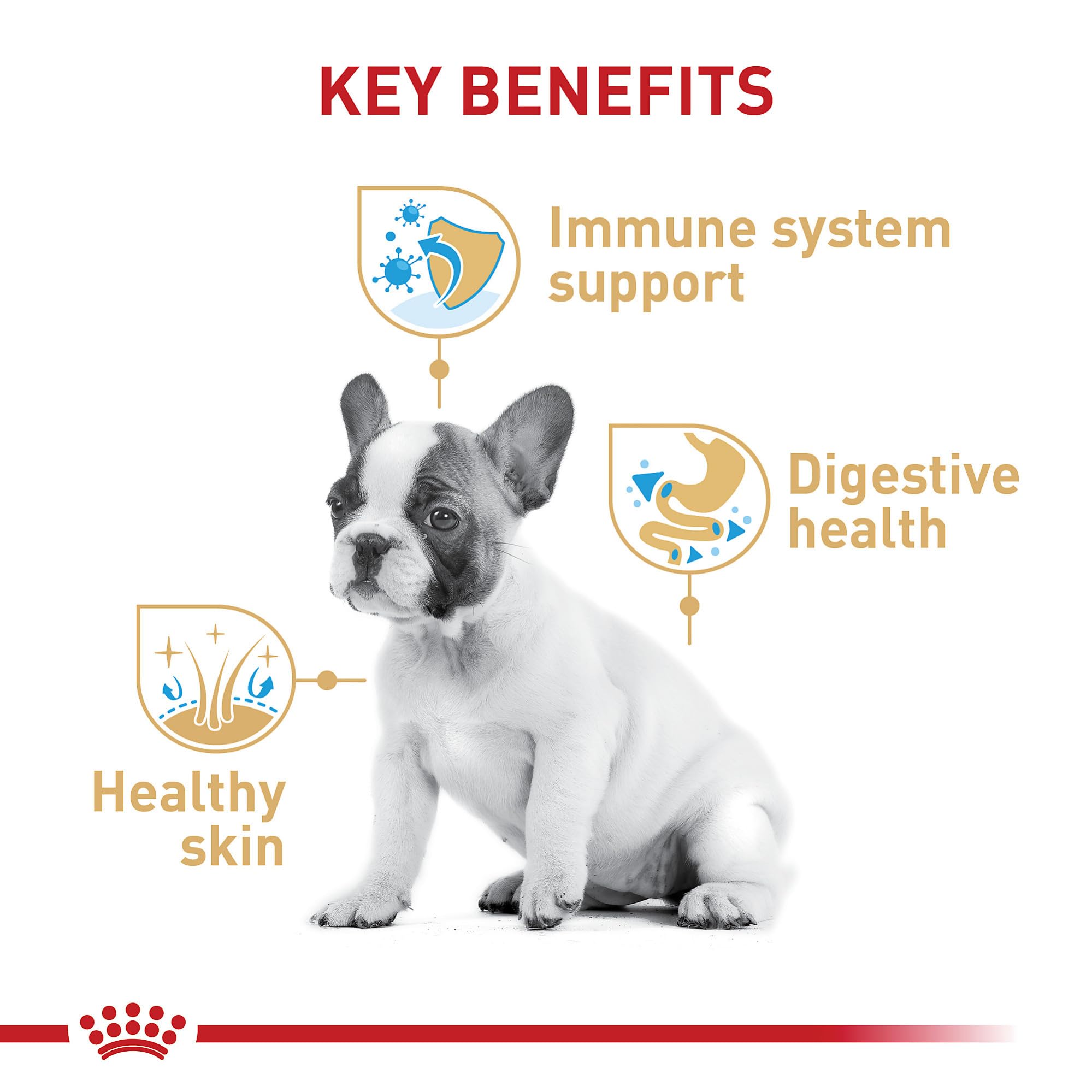 Royal Canin French Bulldog Puppy Dry Dog Food, 10.5 lb Bag - Nutritious Formula for Healthy Growth
