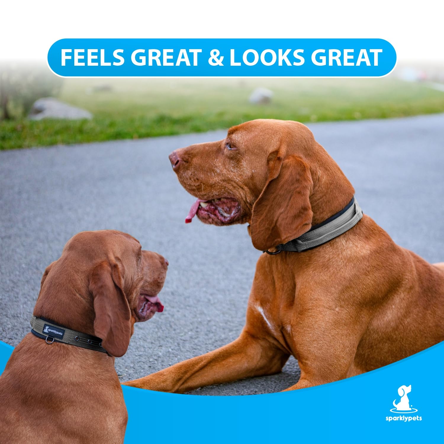 Sparklypets Heavy Duty Dog Collar With Handle For Medium And Large Dogs - Professional Collar With Reflective Stitches, Soft Han