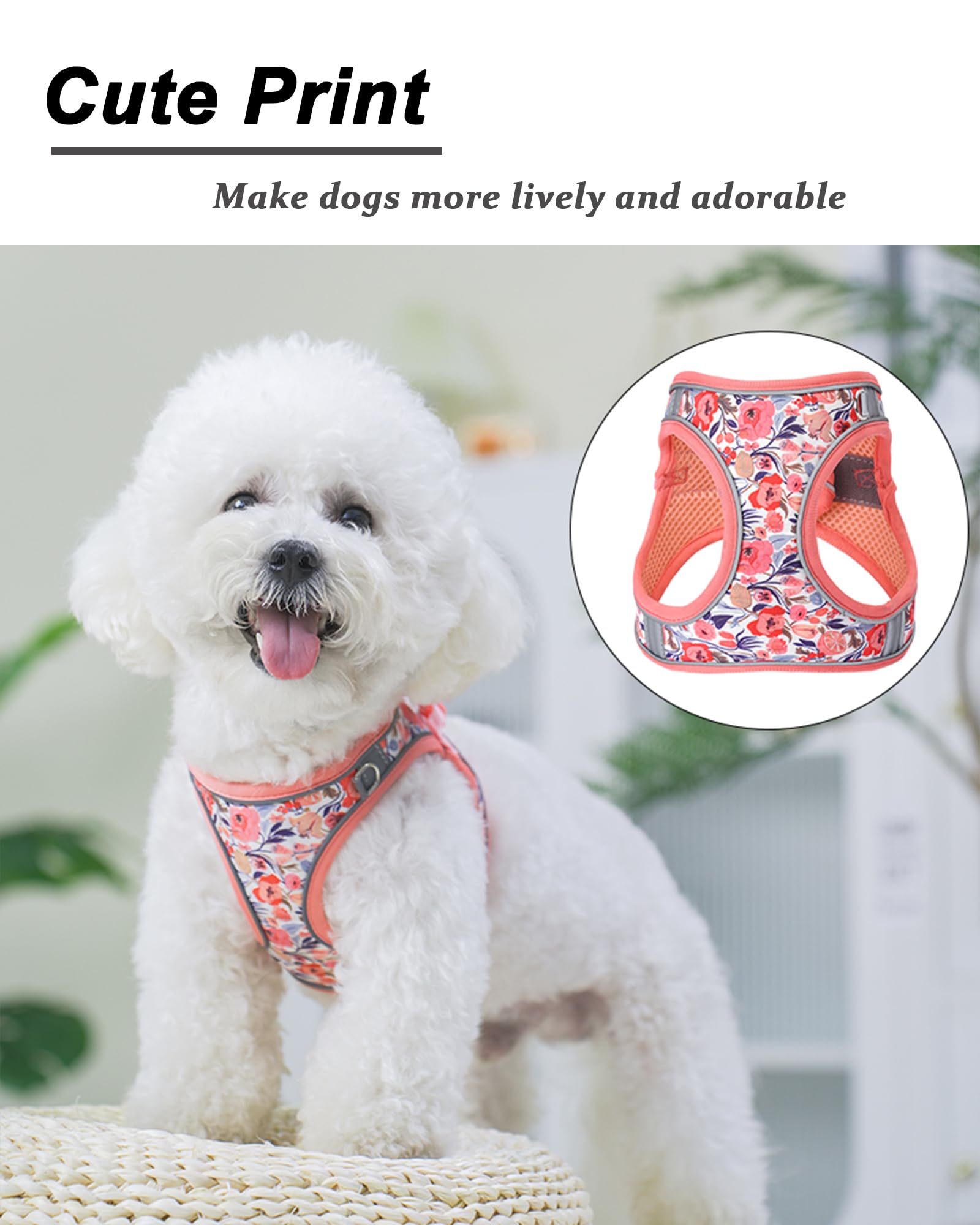 JUFOO XXS Peach Flower Pattern Dog Harness and Leash Set,No Escape Easy Walk Puppy Harnesses for Training Walking,Breathable Adj