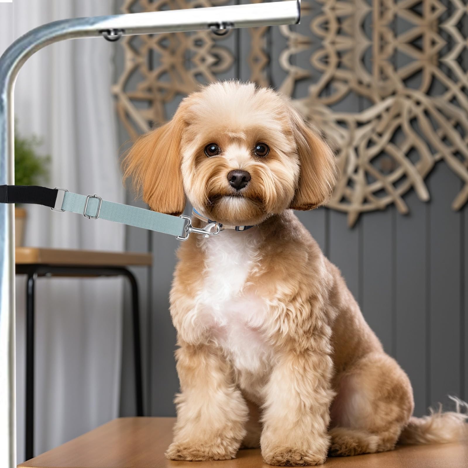 Cuteabc Pet Dog Grooming Arm Extender, 2 Pcs Stable Grooming Arm Accessories,Extension Strap Groomers Helper Grooming Loop,Water