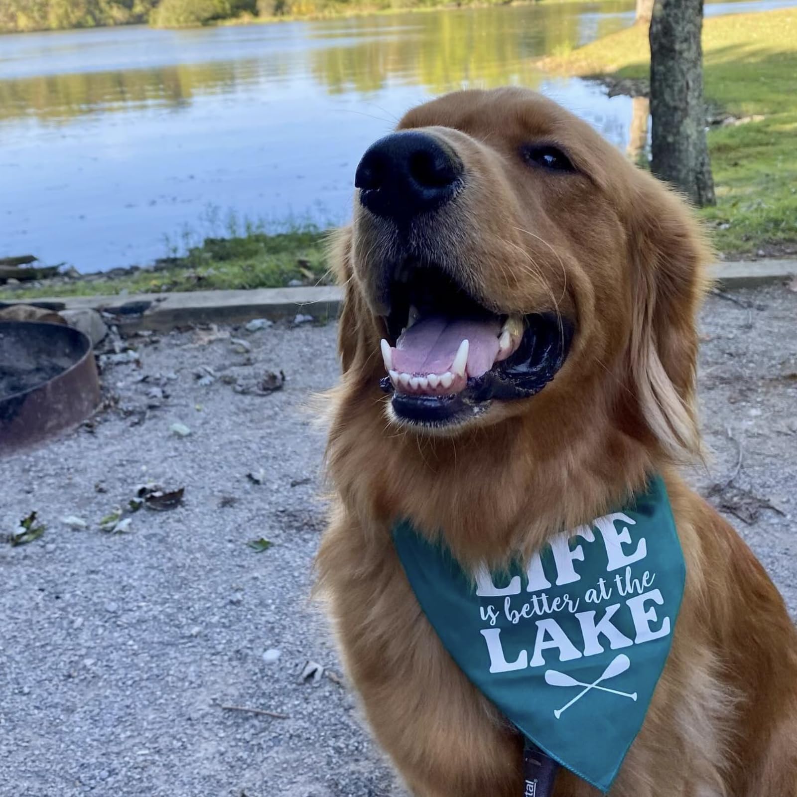 Life Is Better At The Lake Dog Bandana | 100% Cotton | Made In Usa | Boat & Fishing | Captain | Beach & Lake | Summer | Outdoors