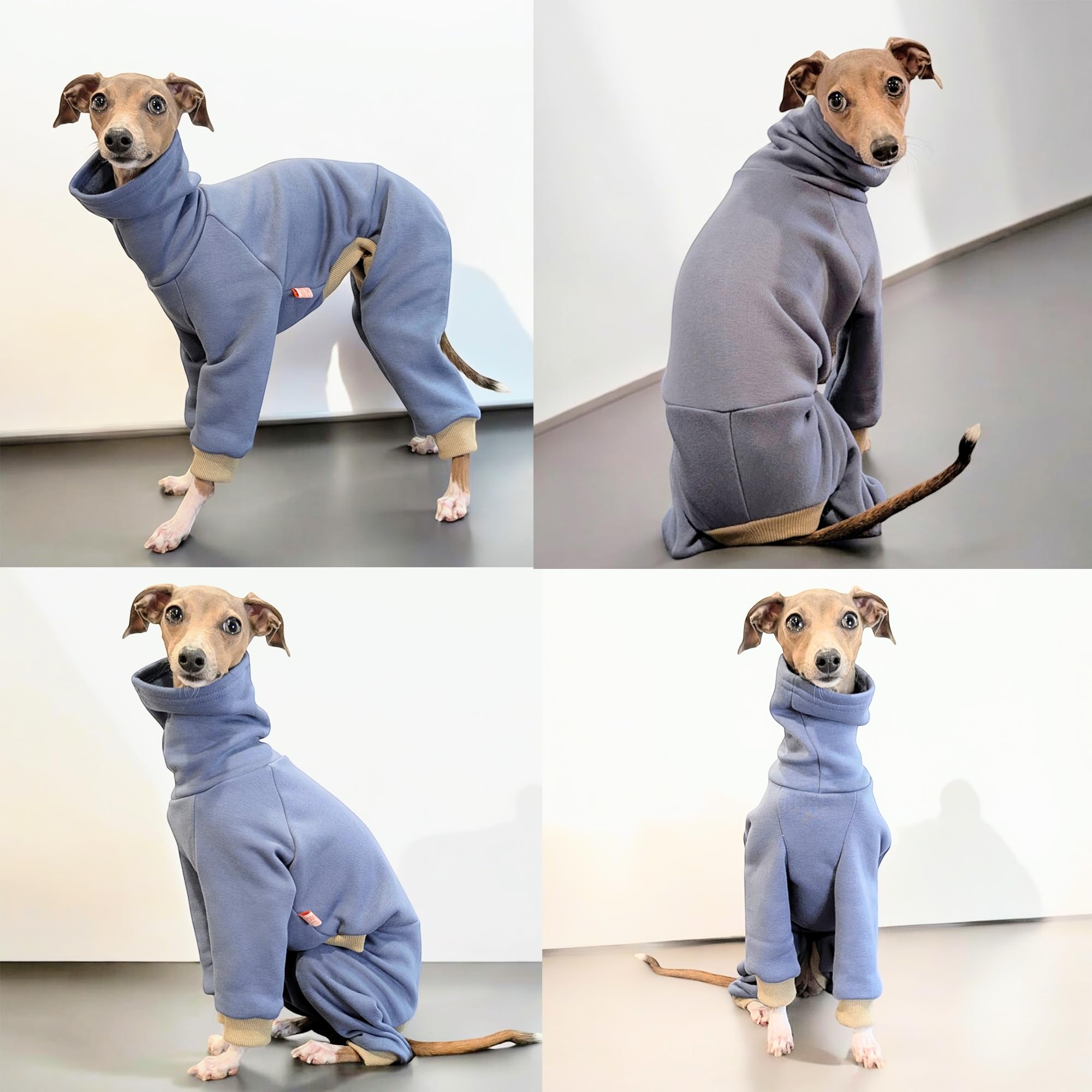 D Doggy Star Italian Greyhound Clothes Strechy Fleeced Lining Simple Onesie Whippet For Dog Coat (S,Simple Blue)