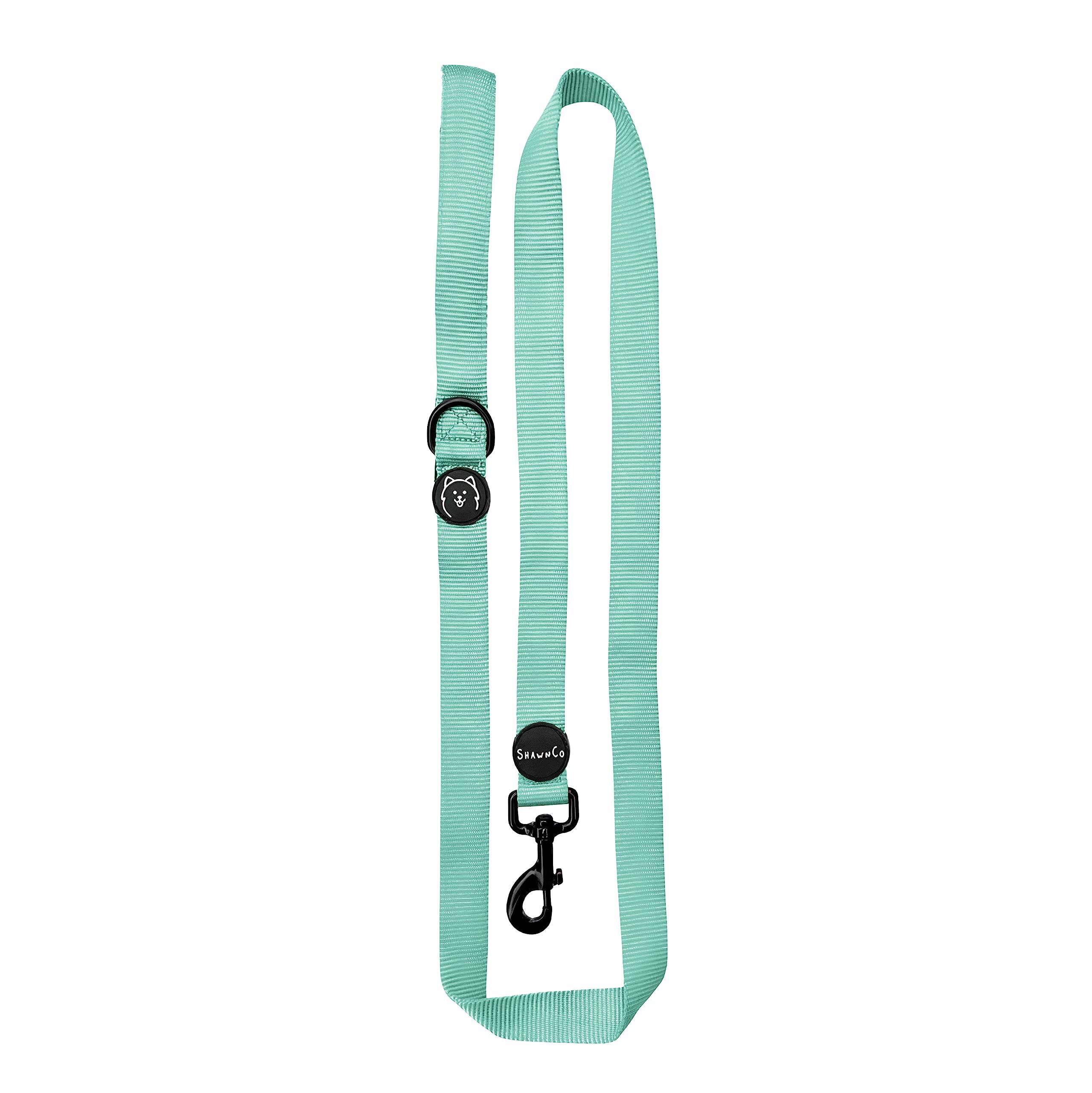 Shawnco Dream Walk Dog Leash- Premium, Nylon Pet Leash With Soft Neoprene Handle For Small, Medium And Large Dogs (Seafoam, Medi