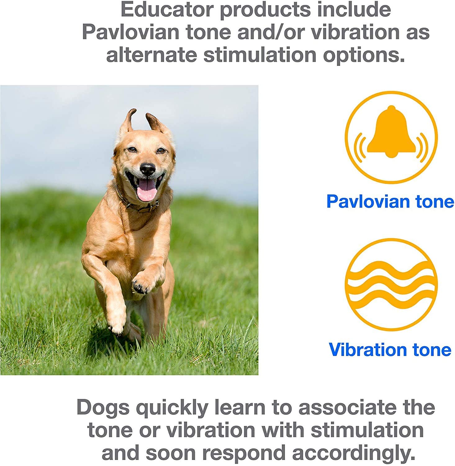 Mini Educator ET-300 Dog Training Collar - 1/2 Mile Range, Waterproof, Vibration, Black - Includes eOutletDeals Pet Towel