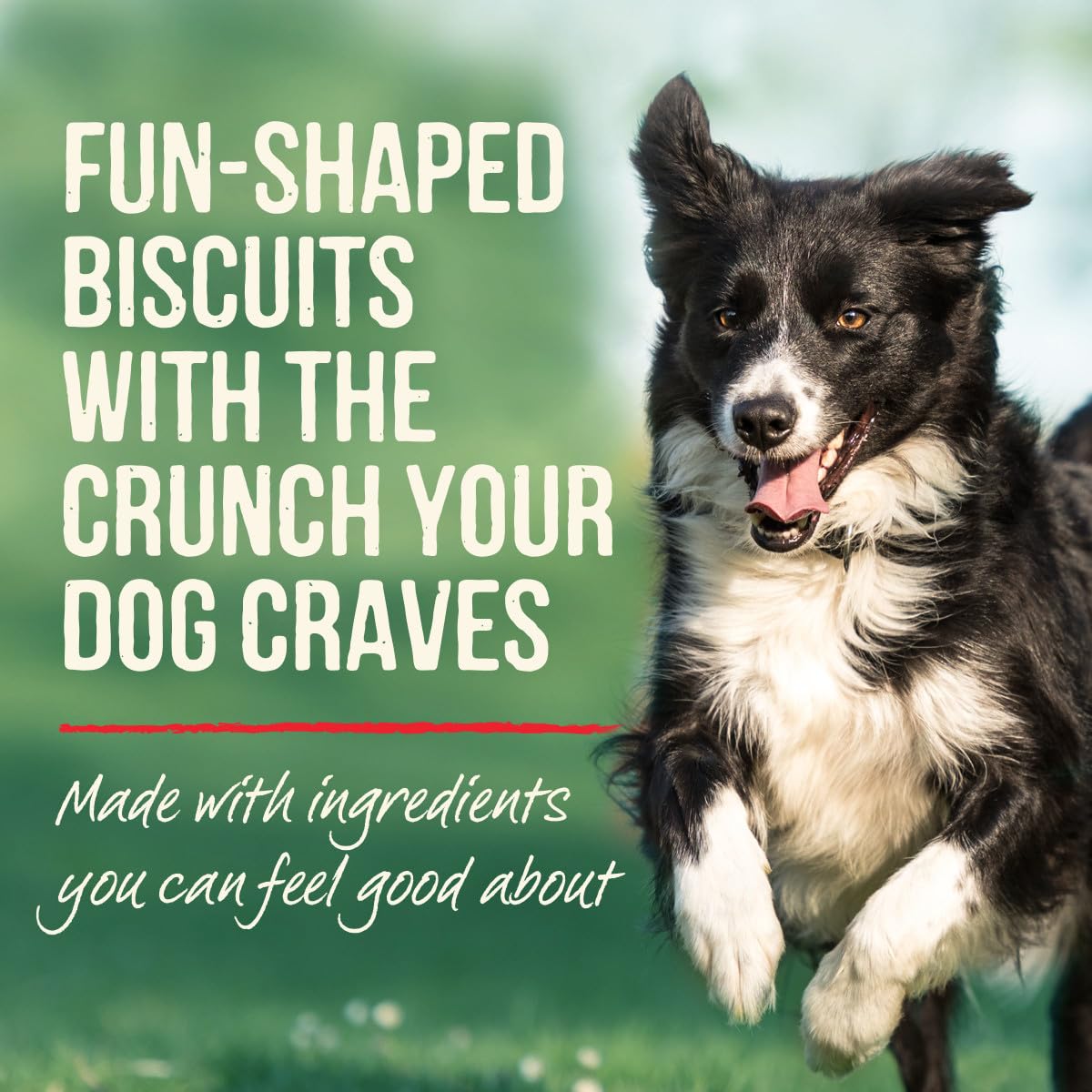 Merrick Oven Baked Dog Treats, Natural and Crunchy Bag of Treats, Pumpkin Patch with Real Pumpkin Snack - 11 oz. Bag
