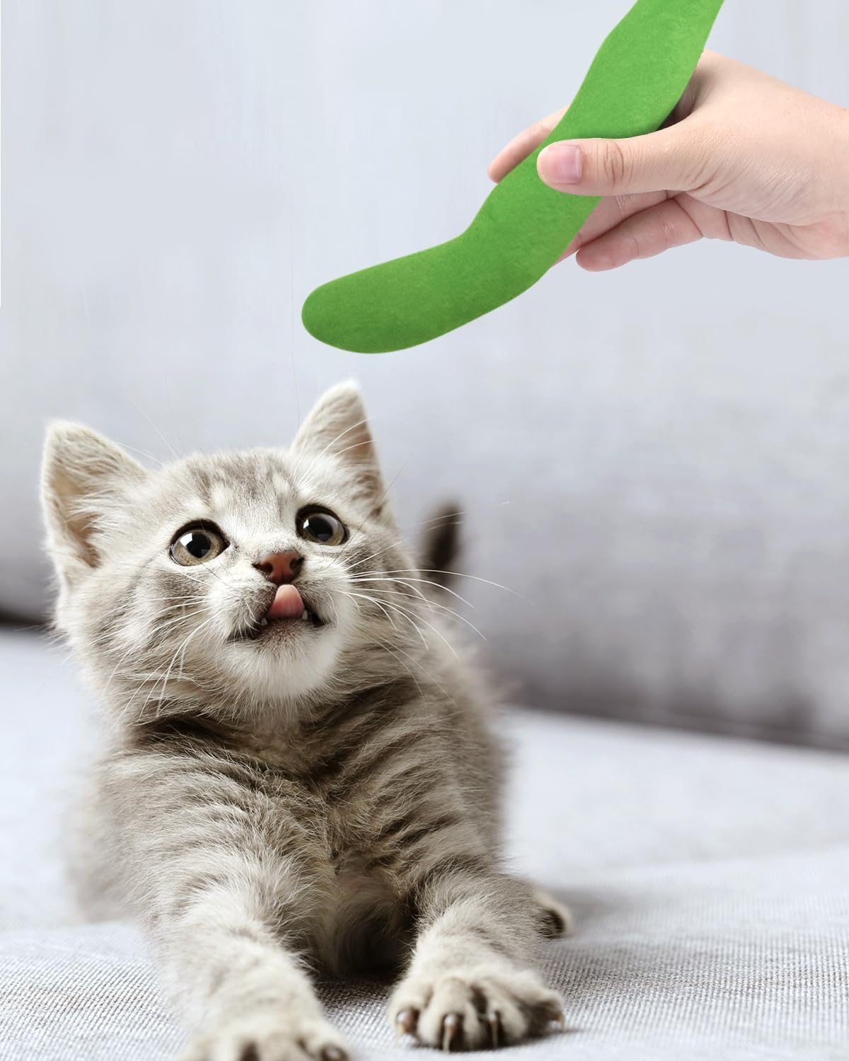 CiyvoLyeen Catnip Toy, Green Bean Cat Toys Kitten Supplies Interactive Kicker Vegetables Vegan Dental Health Teething Chew Gift
